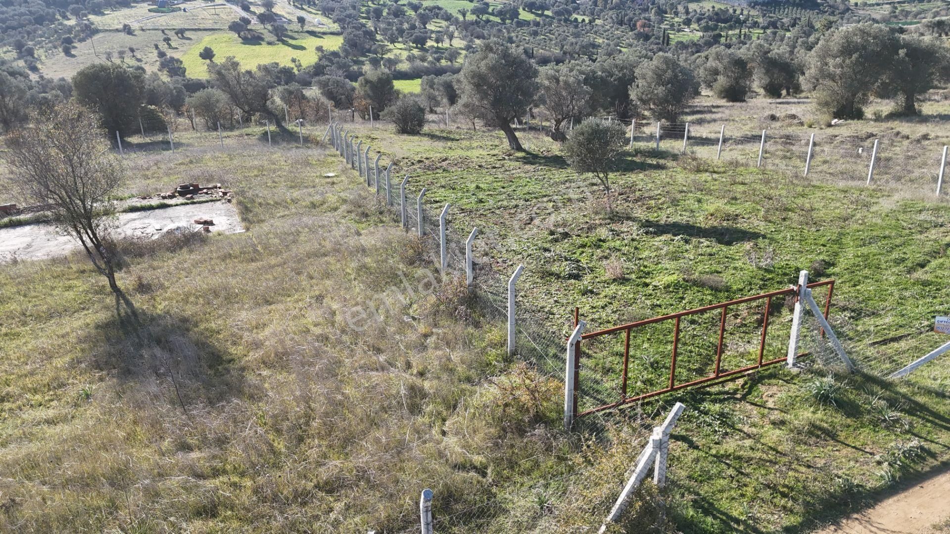 İzmir Menderes Görece-akçaköy Arasında 1727 M2 Taksimli Tepe Tarla - Görsel 2