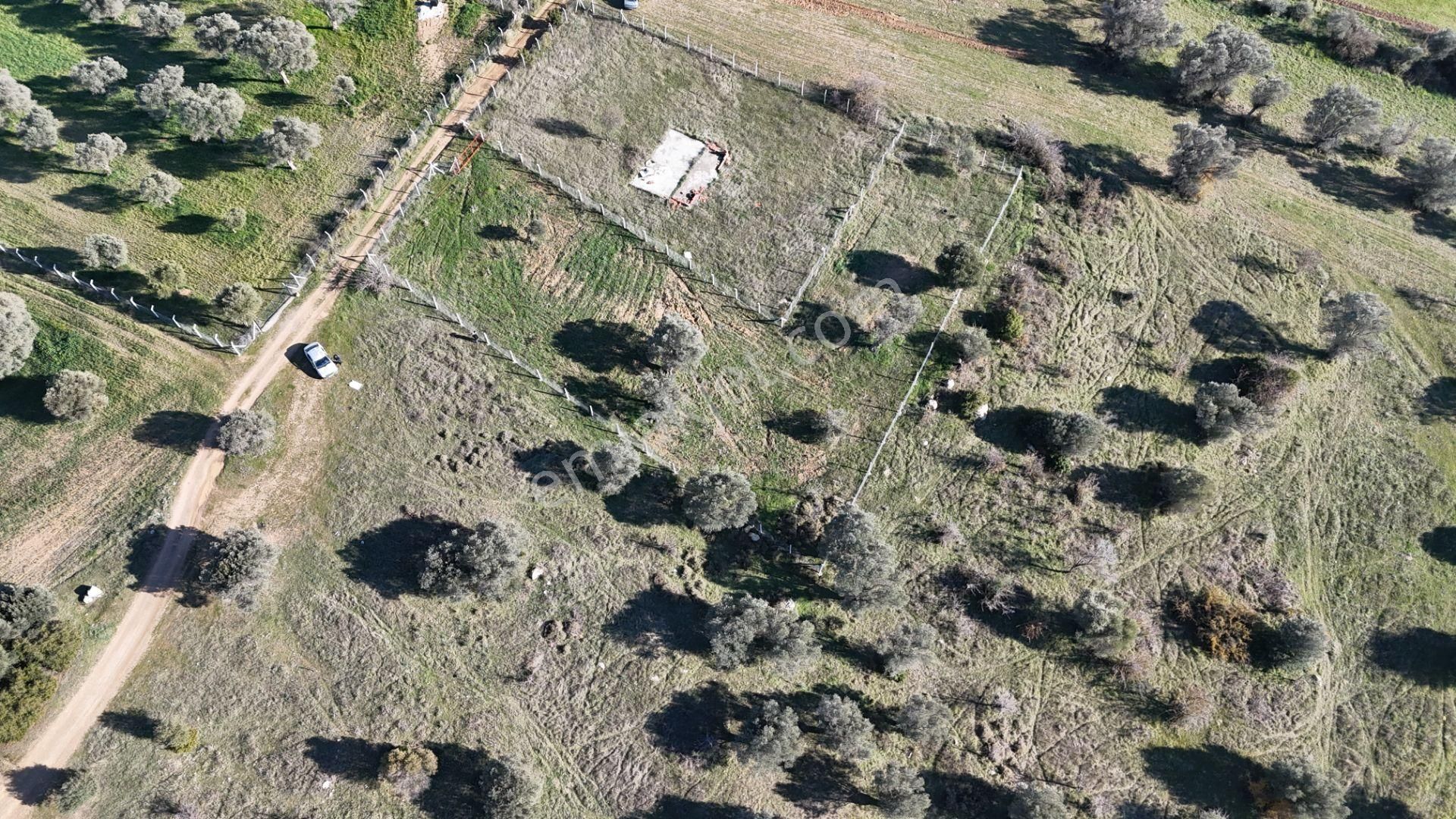 İzmir Menderes Görece-akçaköy Arasında 1727 M2 Taksimli Tepe Tarla - Görsel 23