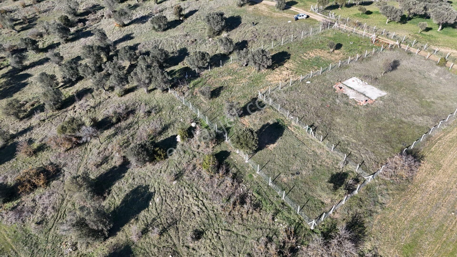İzmir Menderes Görece-akçaköy Arasında 1727 M2 Taksimli Tepe Tarla - Görsel 24