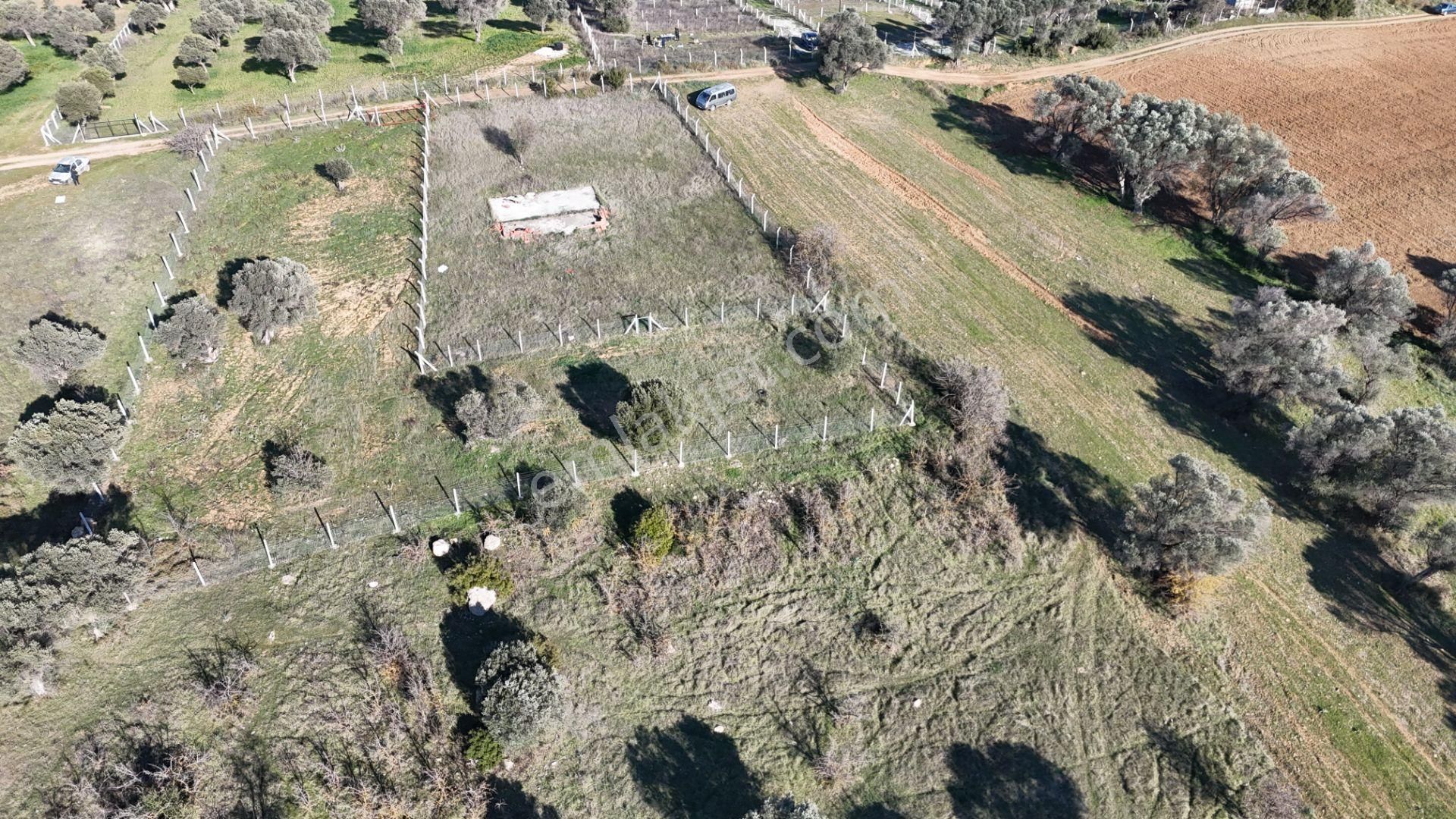 İzmir Menderes Görece-akçaköy Arasında 1727 M2 Taksimli Tepe Tarla - Görsel 26