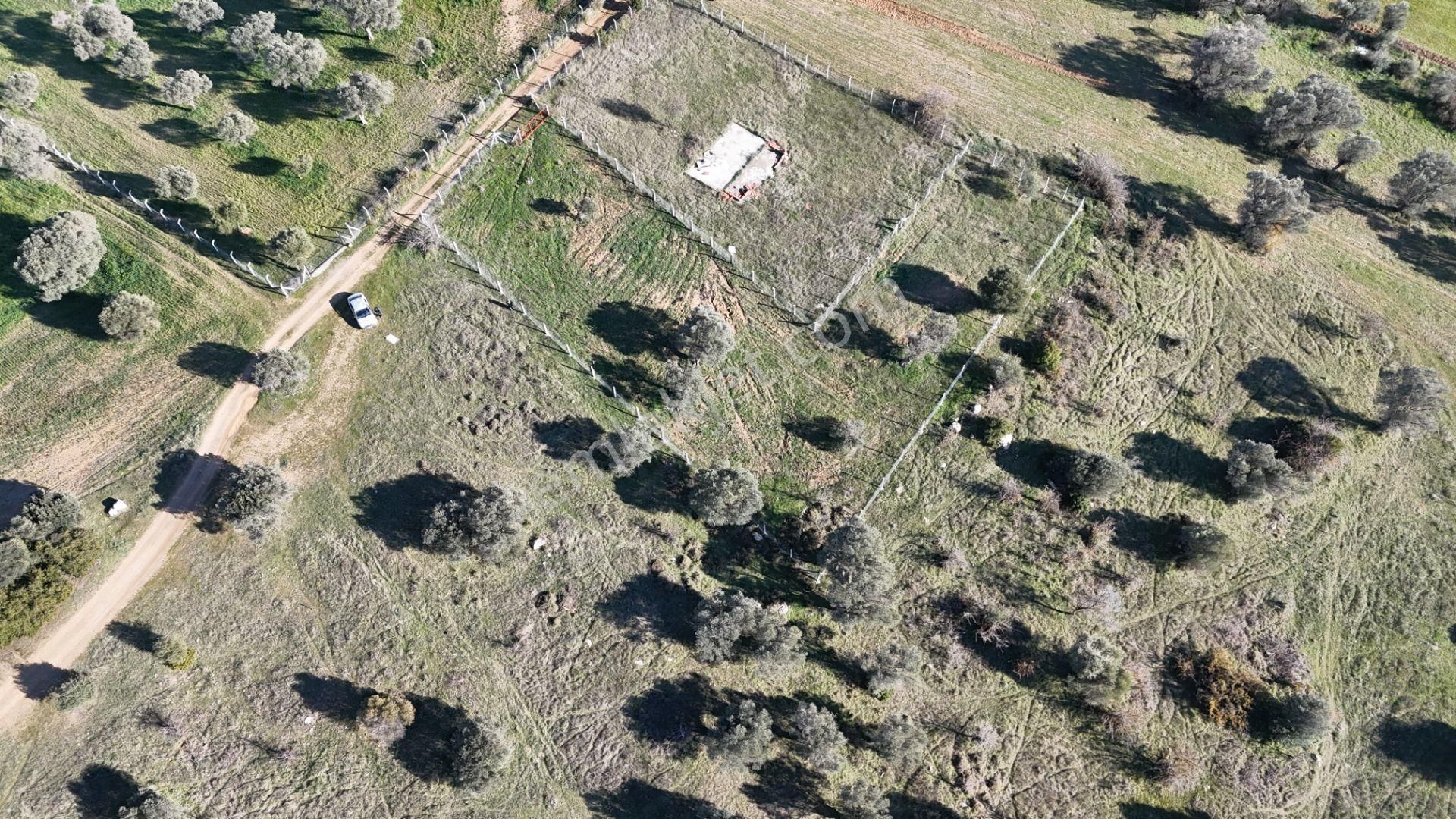 İzmir Menderes Görece-akçaköy Arasında 1727 M2 Taksimli Tepe Tarla - Görsel 16