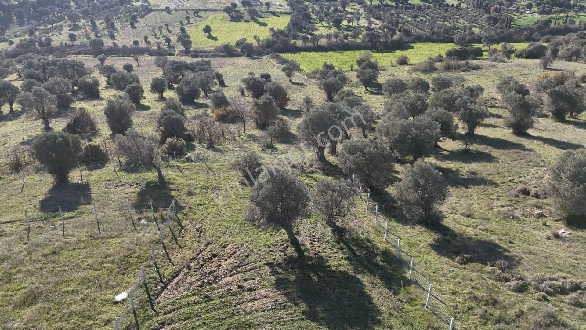 İzmir Menderes Görece-akçaköy Arasında 1727 M2 Taksimli Tepe Tarla - Görsel 35