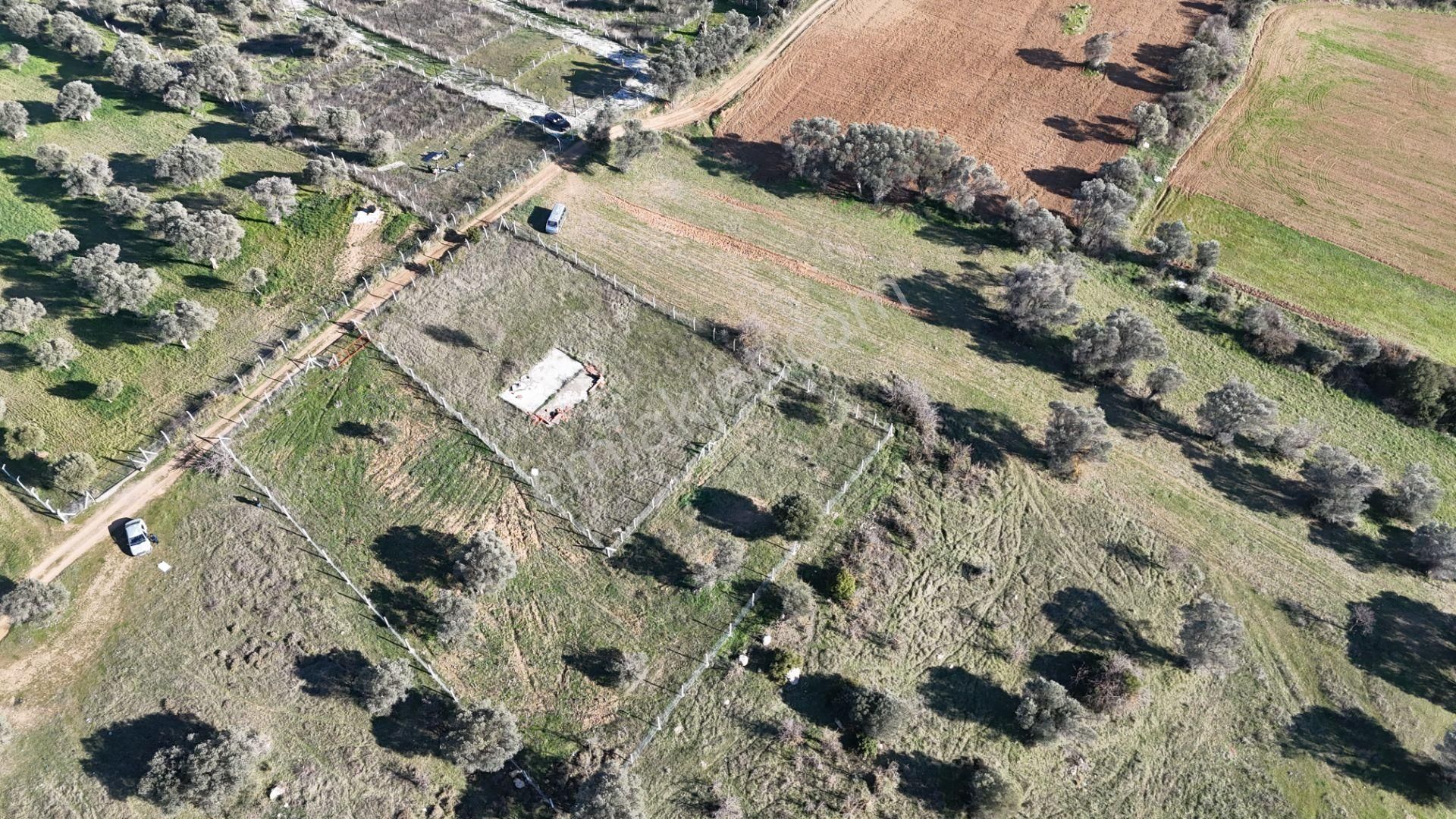 İzmir Menderes Görece-akçaköy Arasında 1727 M2 Taksimli Tepe Tarla - Görsel 28