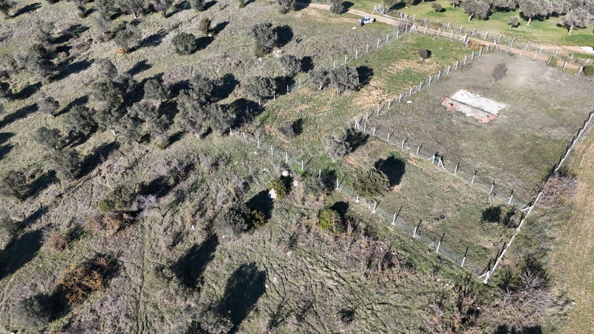 İzmir Menderes Görece-akçaköy Arasında 1727 M2 Taksimli Tepe Tarla - Görsel 33