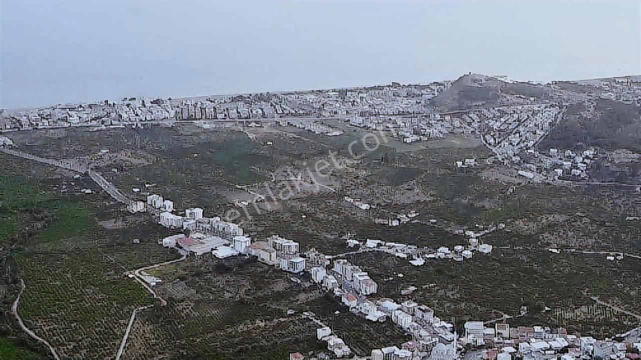 Gümüldür'de,deniz Mazaralı,2.100m2 Müstakil Mandalina Bahçesi - Görsel 3