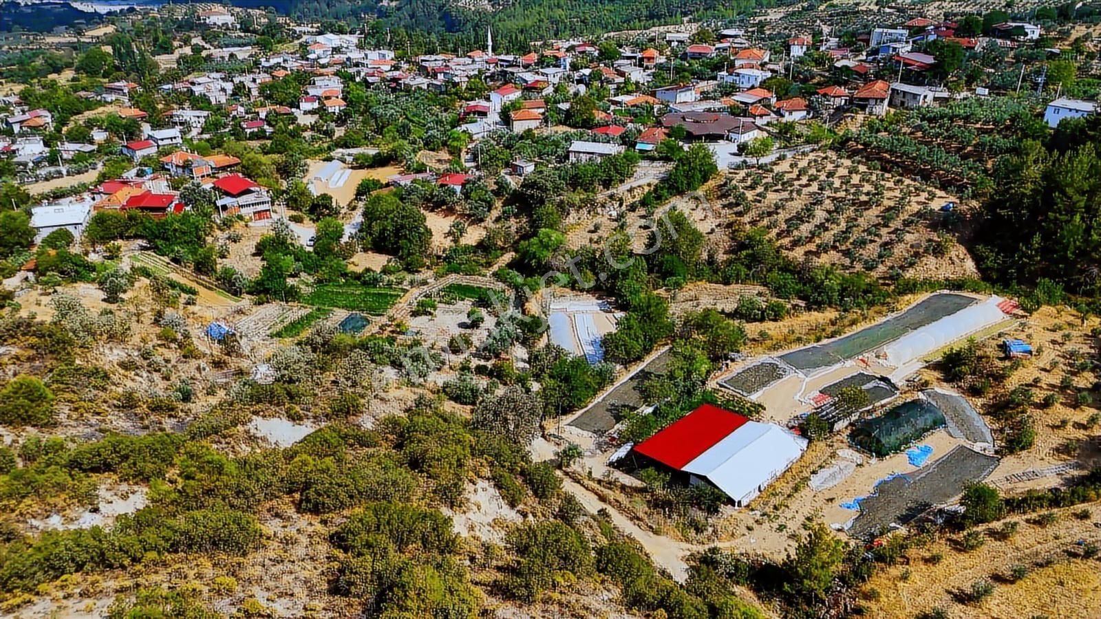 Esençay'da Doğal-köy Yaşamı İsteyenlere Yatırım Fırsatı "tarla" - Görsel 7