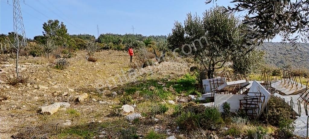 Mordoğan Emlaktan Panoramik Deniz Manzaralı 5018m2 Satılık Tarla - Görsel 2