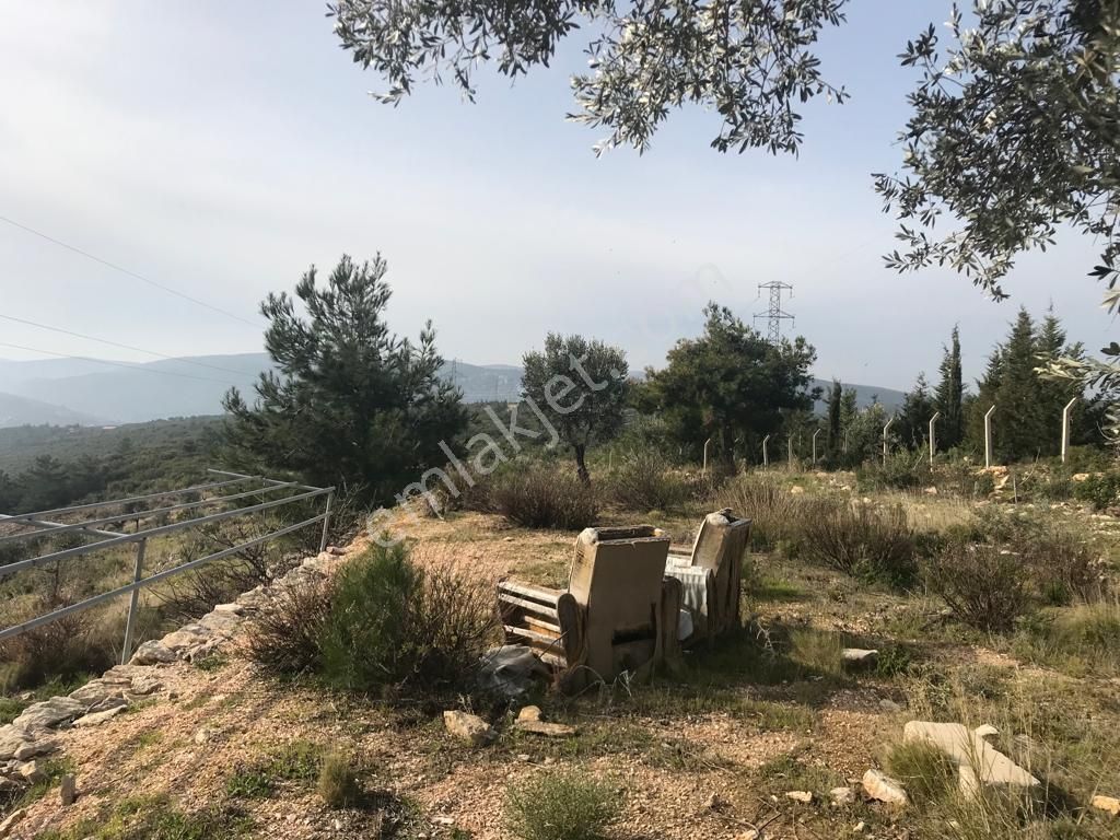 Mordoğan Emlaktan Panoramik Deniz Manzaralı 5018m2 Satılık Tarla - Görsel 14