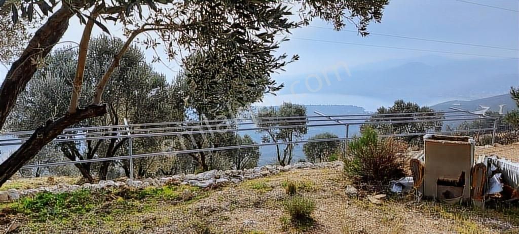 Mordoğan Emlaktan Panoramik Deniz Manzaralı 5018m2 Satılık Tarla - Görsel 19