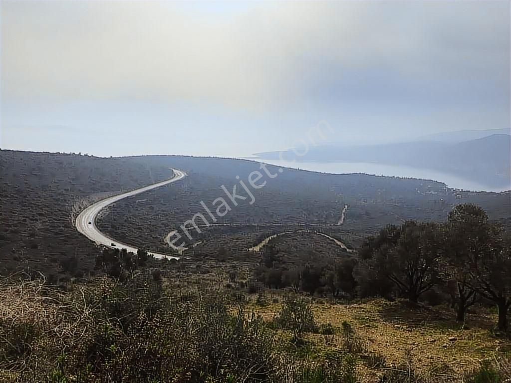 Mordoğan Emlaktan Panoramik Deniz Manzaralı 5018m2 Satılık Tarla - Görsel 10