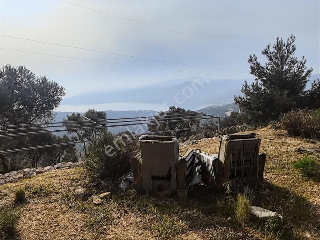 Mordoğan Emlaktan Panoramik Deniz Manzaralı 5018m2 Satılık Tarla - Görsel 6