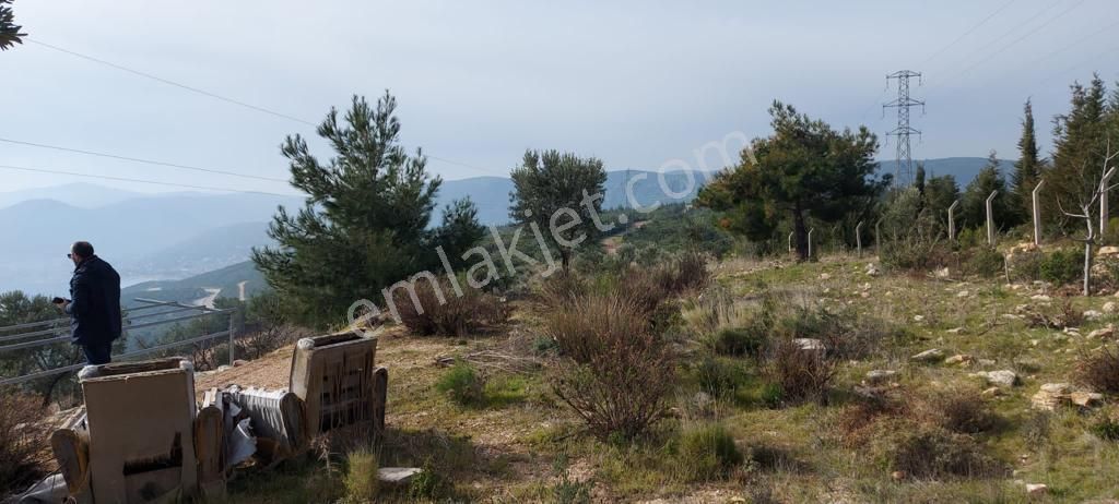 Mordoğan Emlaktan Panoramik Deniz Manzaralı 5018m2 Satılık Tarla - Görsel 22