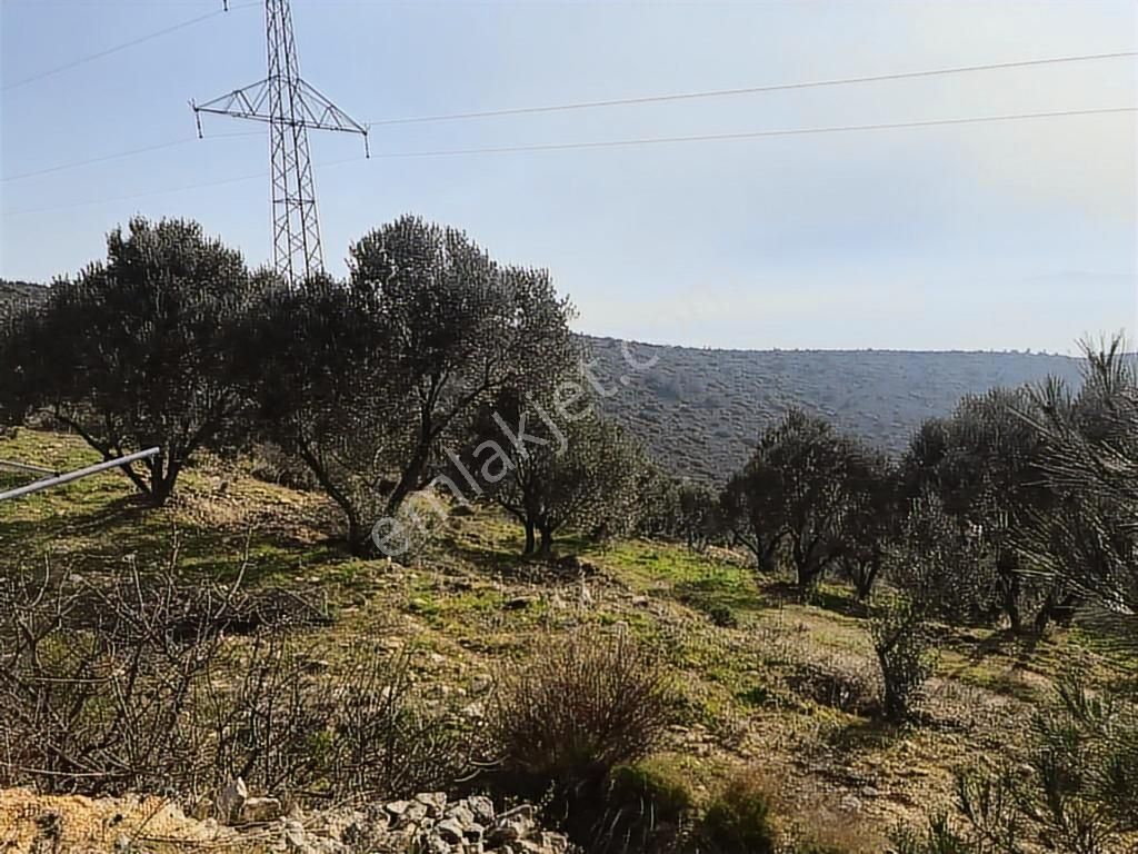 Mordoğan Emlaktan Panoramik Deniz Manzaralı 5018m2 Satılık Tarla - Görsel 13