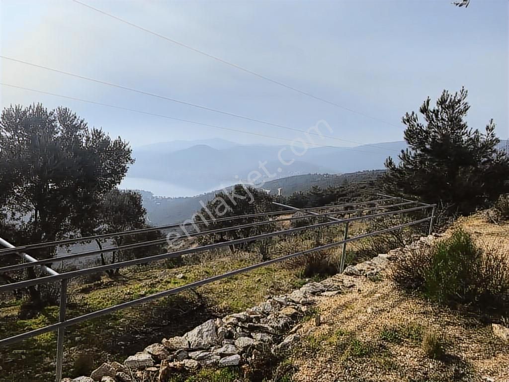 Mordoğan Emlaktan Panoramik Deniz Manzaralı 5018m2 Satılık Tarla - Görsel 15