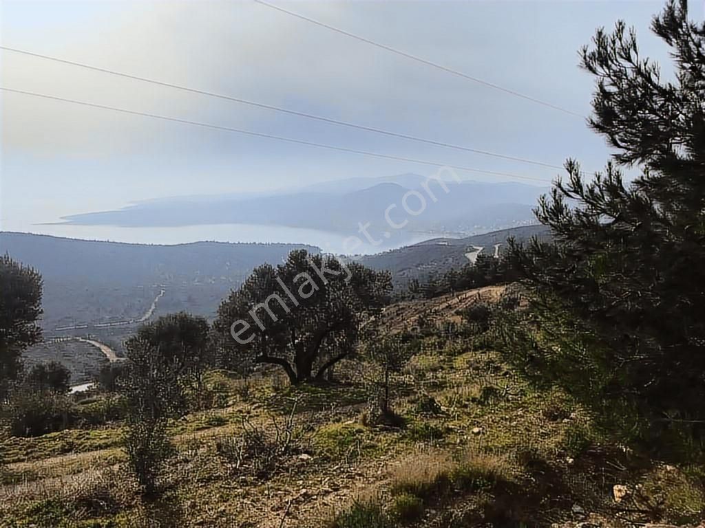 Mordoğan Emlaktan Panoramik Deniz Manzaralı 5018m2 Satılık Tarla - Görsel 17