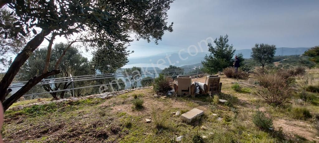 Mordoğan Emlaktan Panoramik Deniz Manzaralı 5018m2 Satılık Tarla - Görsel 20