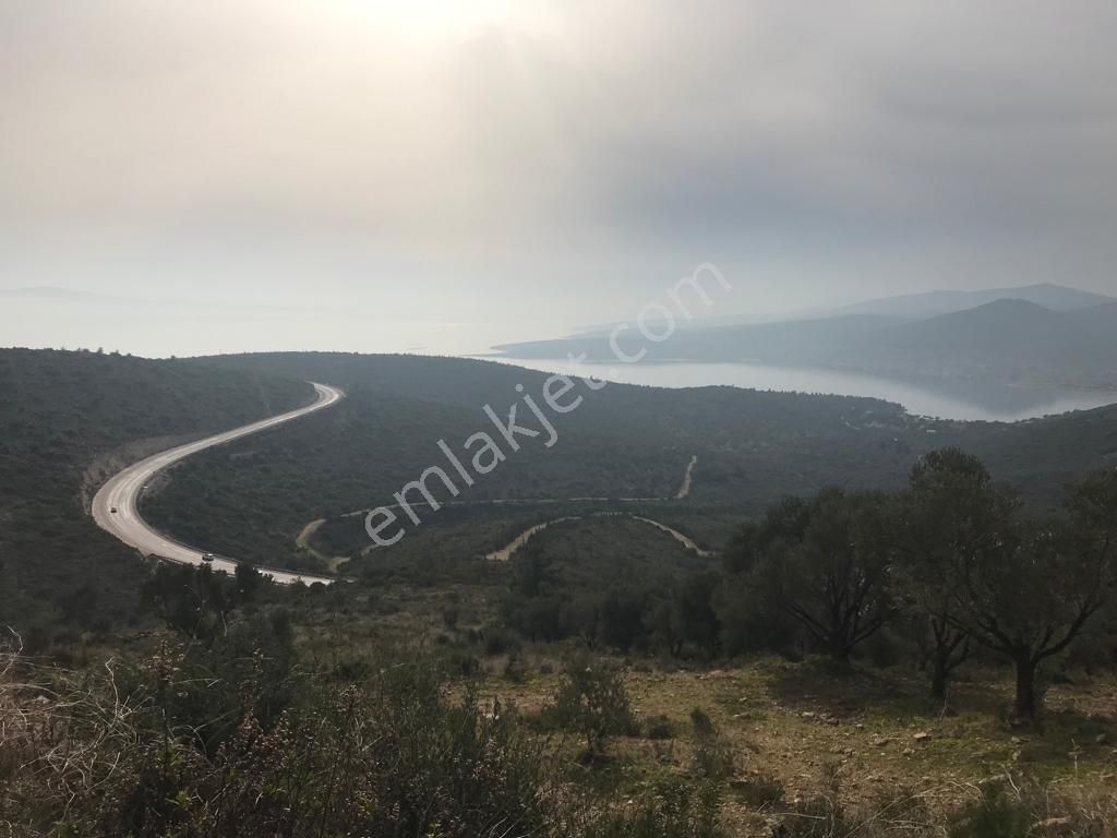 Mordoğan Emlaktan Panoramik Deniz Manzaralı 5018m2 Satılık Tarla - Görsel 25