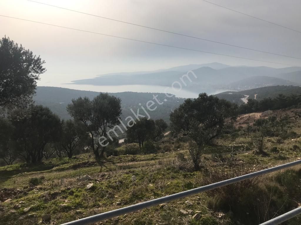 Mordoğan Emlaktan Panoramik Deniz Manzaralı 5018m2 Satılık Tarla - Görsel 16