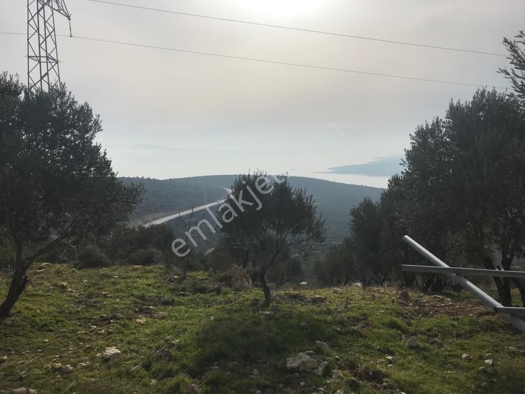 Mordoğan Emlaktan Panoramik Deniz Manzaralı 5018m2 Satılık Tarla - Görsel 3