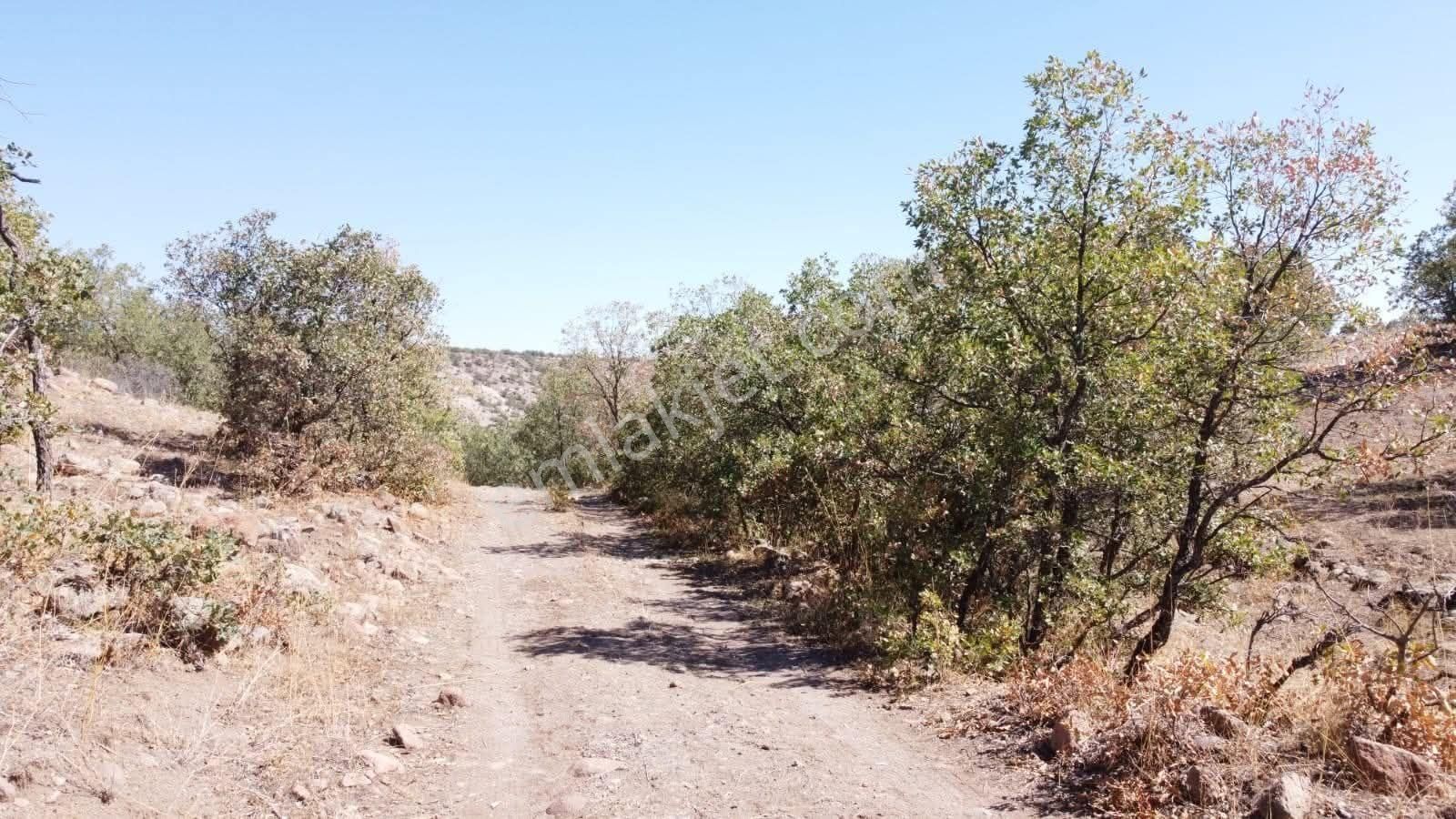 Konya / Meram / Yeşildere Mahallesinde 7.830 M² Müstakil Tapulu Tarla - Görsel 4