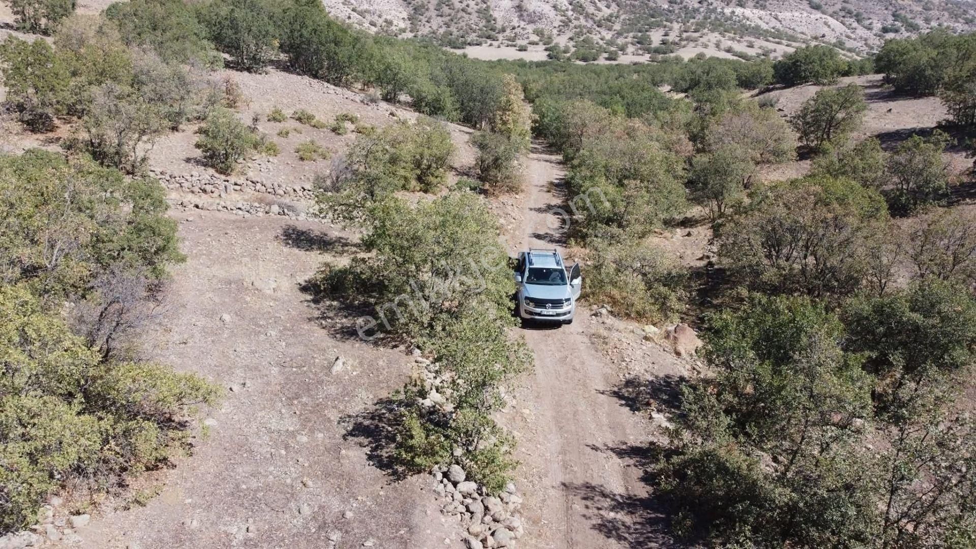 Konya / Meram / Yeşildere Mahallesinde 7.830 M² Müstakil Tapulu Tarla - Görsel 3