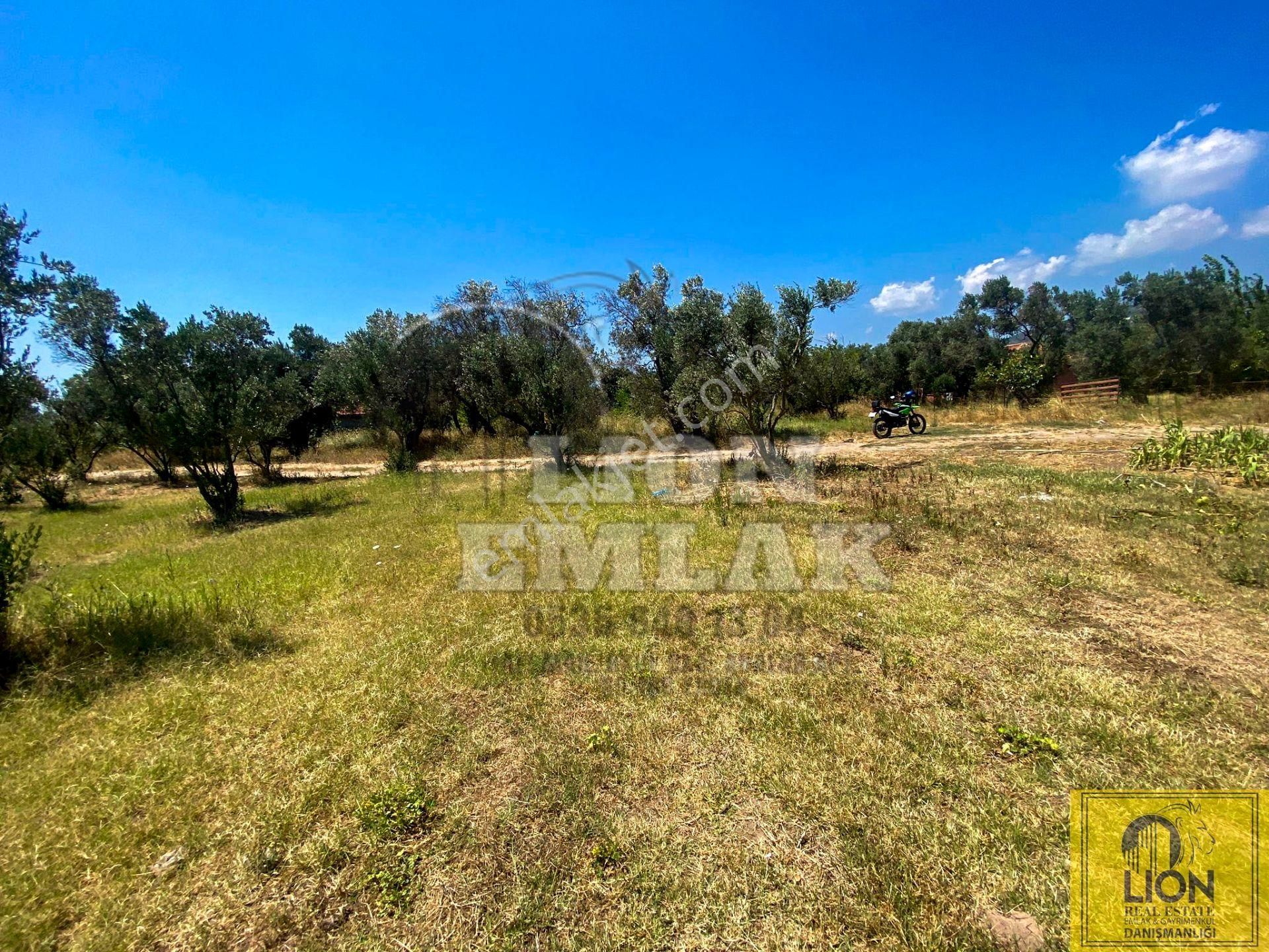 🟨⬛lıon Emlak'tan Erdek Hamamlı Mahallesinde,balıklıpınar Mevkiinde 3375m² Satılık Arsa⬛🟨 - Görsel 14