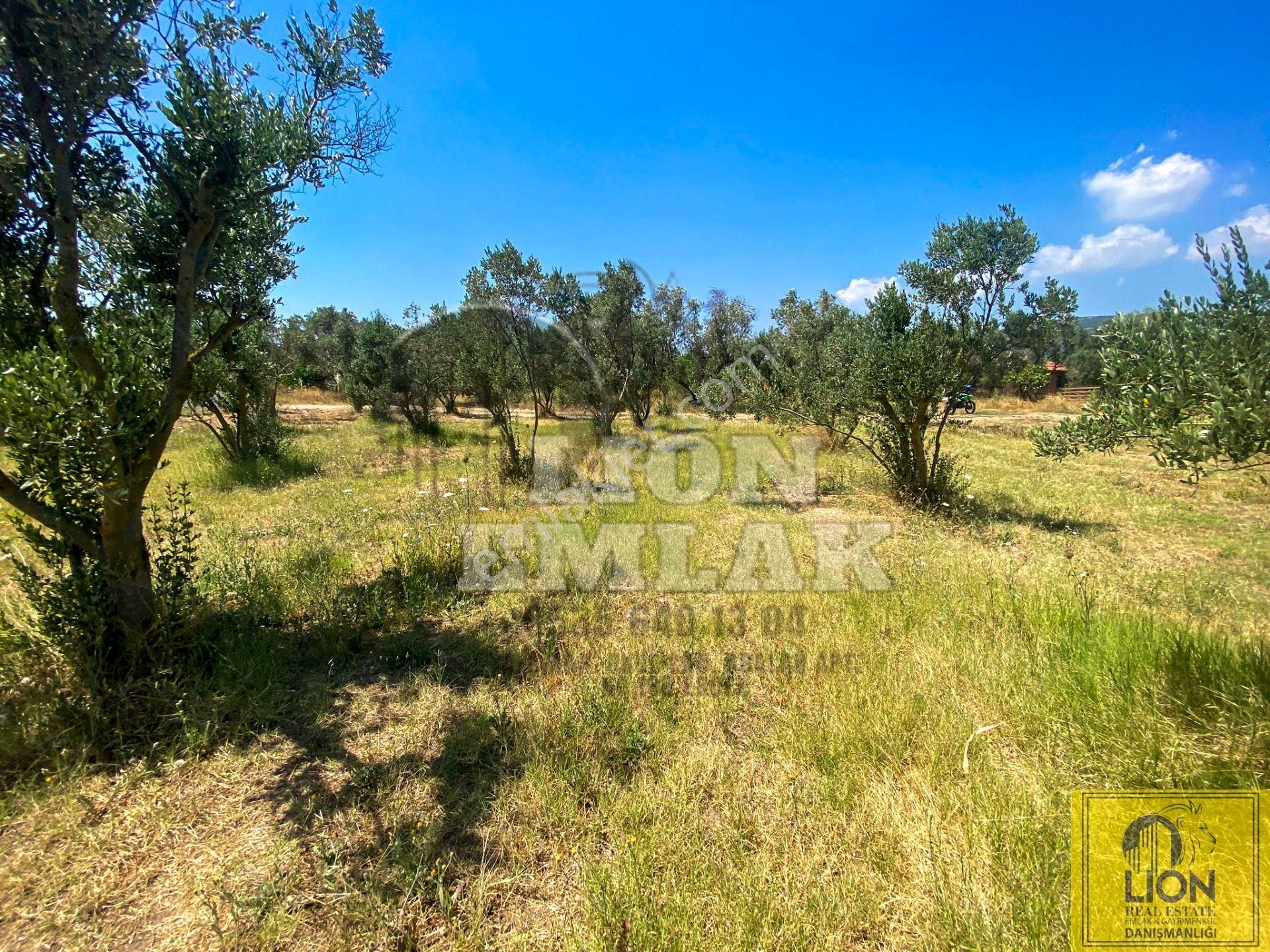 🟨⬛lıon Emlak'tan Erdek Hamamlı Mahallesinde,balıklıpınar Mevkiinde 3375m² Satılık Arsa⬛🟨 - Görsel 20