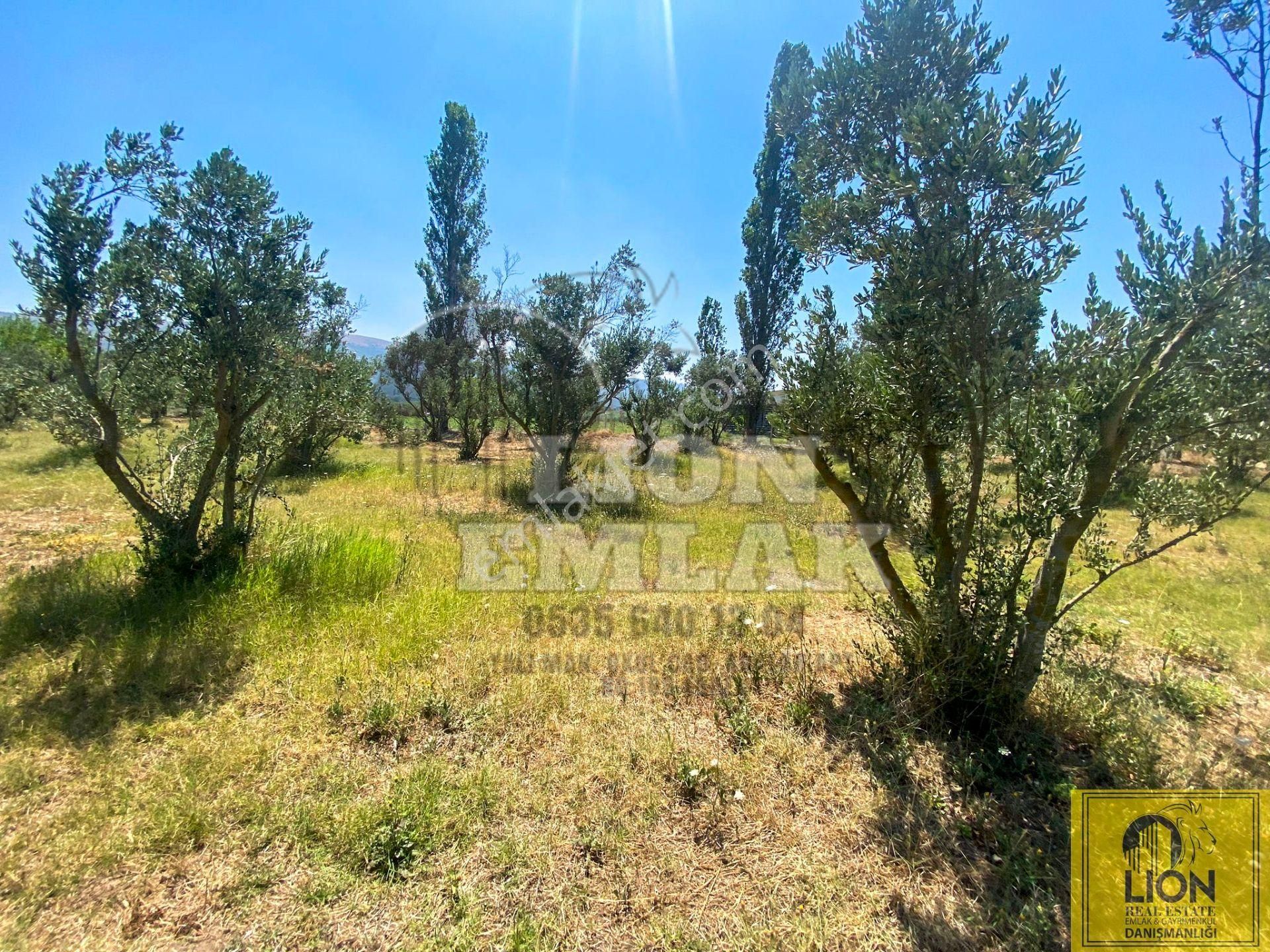 🟨⬛lıon Emlak'tan Erdek Hamamlı Mahallesinde,balıklıpınar Mevkiinde 3375m² Satılık Arsa⬛🟨 - Görsel 15