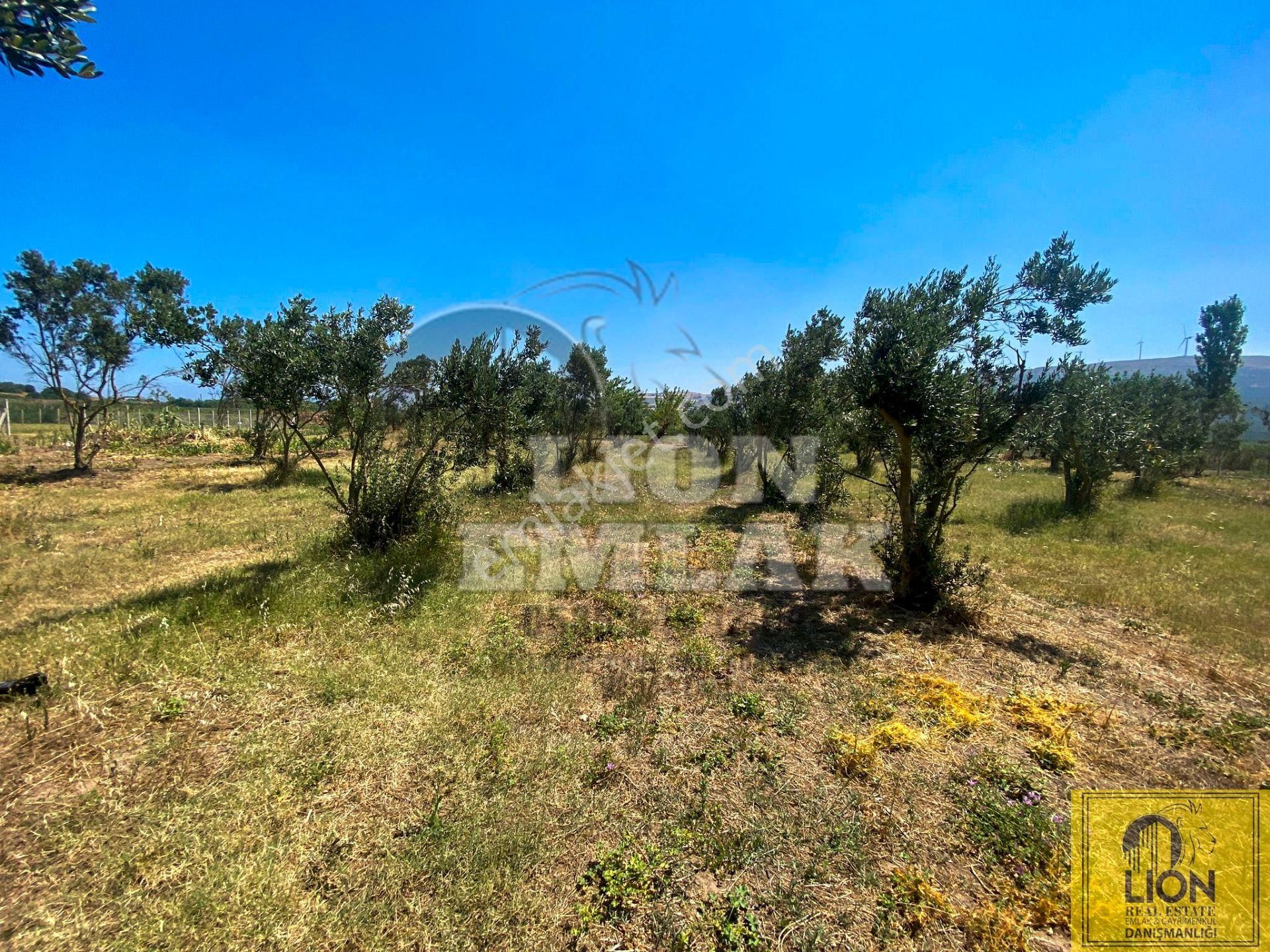 🟨⬛lıon Emlak'tan Erdek Hamamlı Mahallesinde,balıklıpınar Mevkiinde 3375m² Satılık Arsa⬛🟨 - Görsel 17
