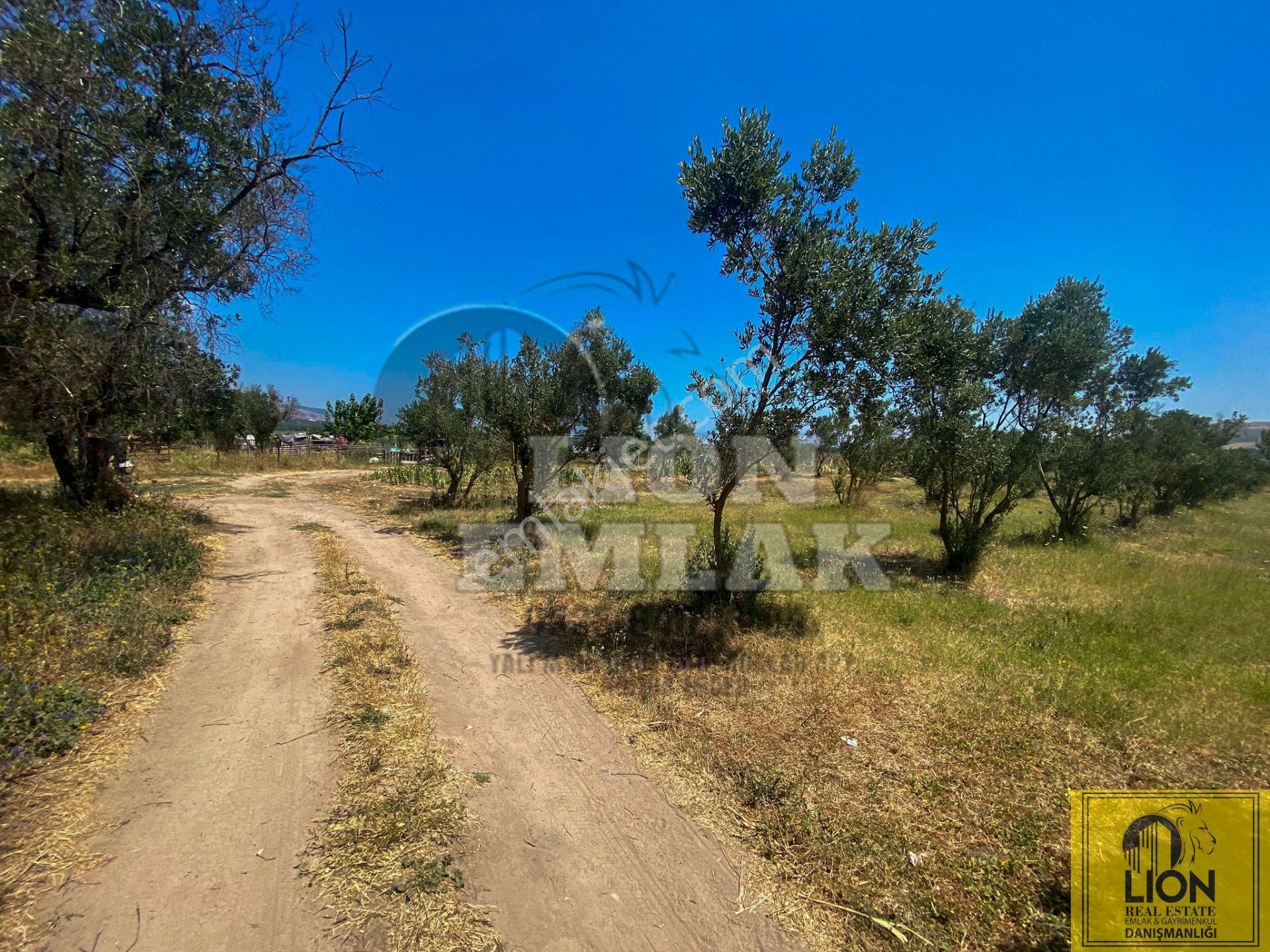 🟨⬛lıon Emlak'tan Erdek Hamamlı Mahallesinde,balıklıpınar Mevkiinde 3375m² Satılık Arsa⬛🟨 - Görsel 25