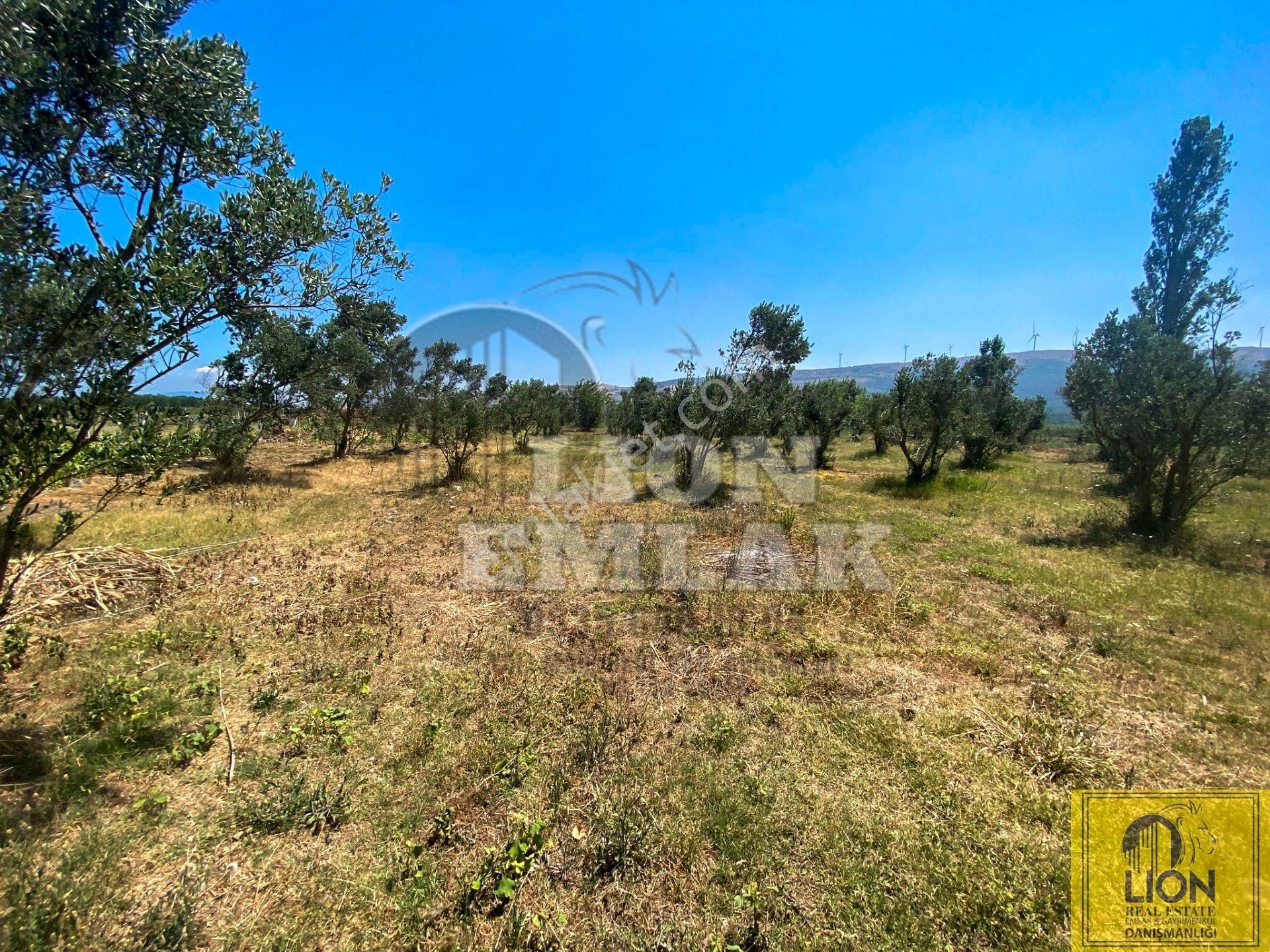 🟨⬛lıon Emlak'tan Erdek Hamamlı Mahallesinde,balıklıpınar Mevkiinde 3375m² Satılık Arsa⬛🟨 - Görsel 16