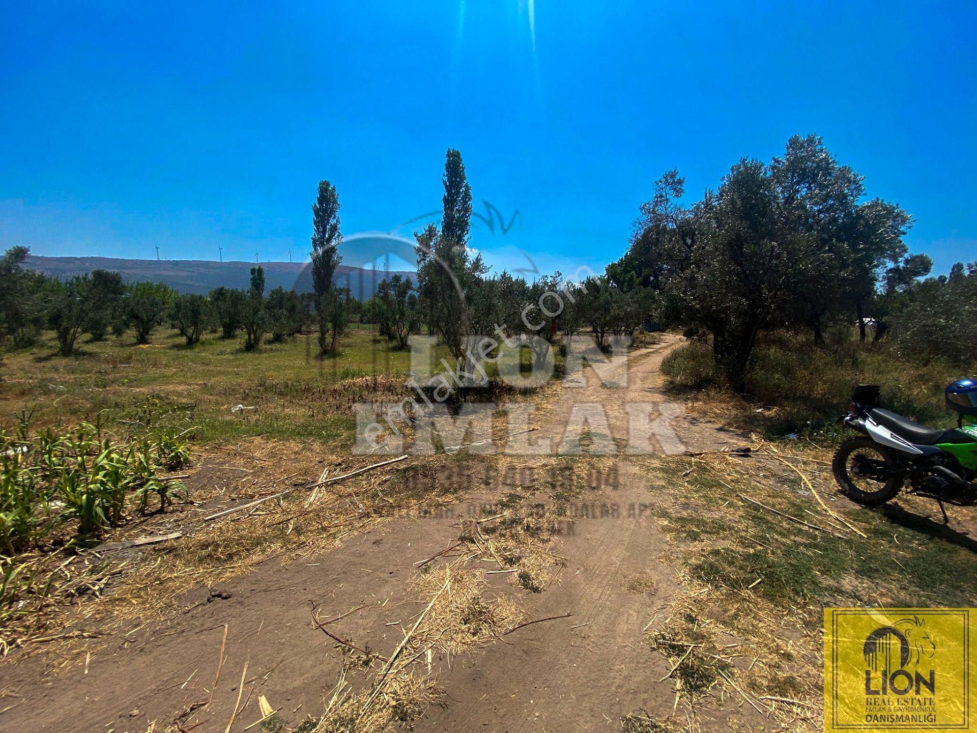 🟨⬛lıon Emlak'tan Erdek Hamamlı Mahallesinde,balıklıpınar Mevkiinde 3375m² Satılık Arsa⬛🟨 - Görsel 9