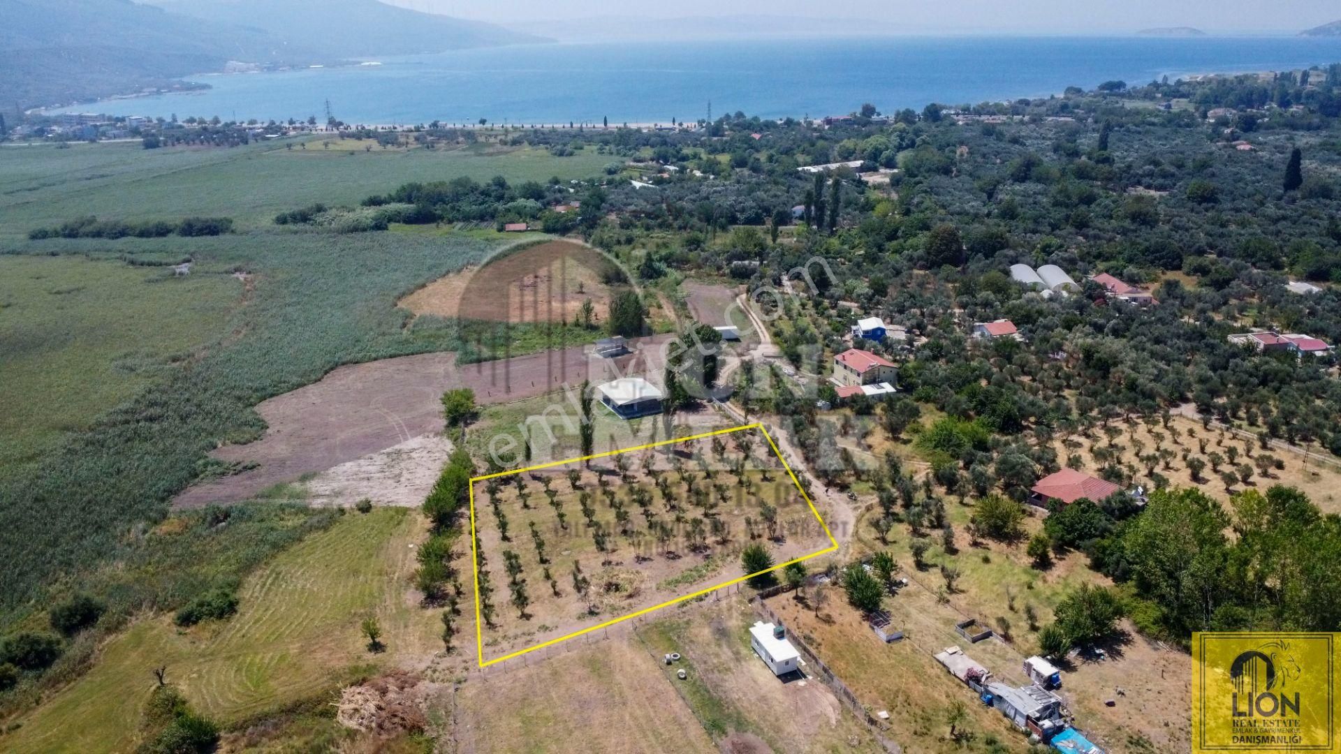 🟨⬛lıon Emlak'tan Erdek Hamamlı Mahallesinde,balıklıpınar Mevkiinde 3375m² Satılık Arsa⬛🟨 - Görsel 3