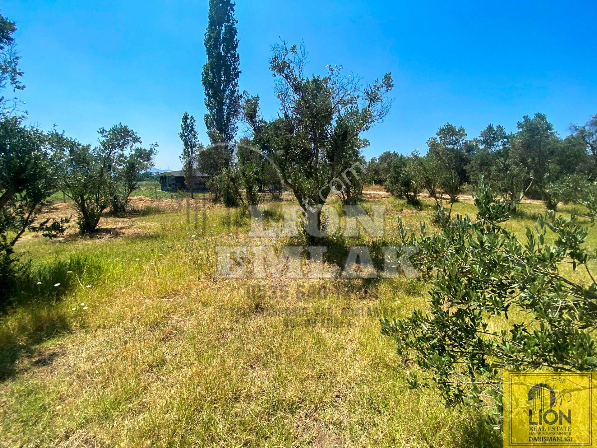 🟨⬛lıon Emlak'tan Erdek Hamamlı Mahallesinde,balıklıpınar Mevkiinde 3375m² Satılık Arsa⬛🟨 - Görsel 19