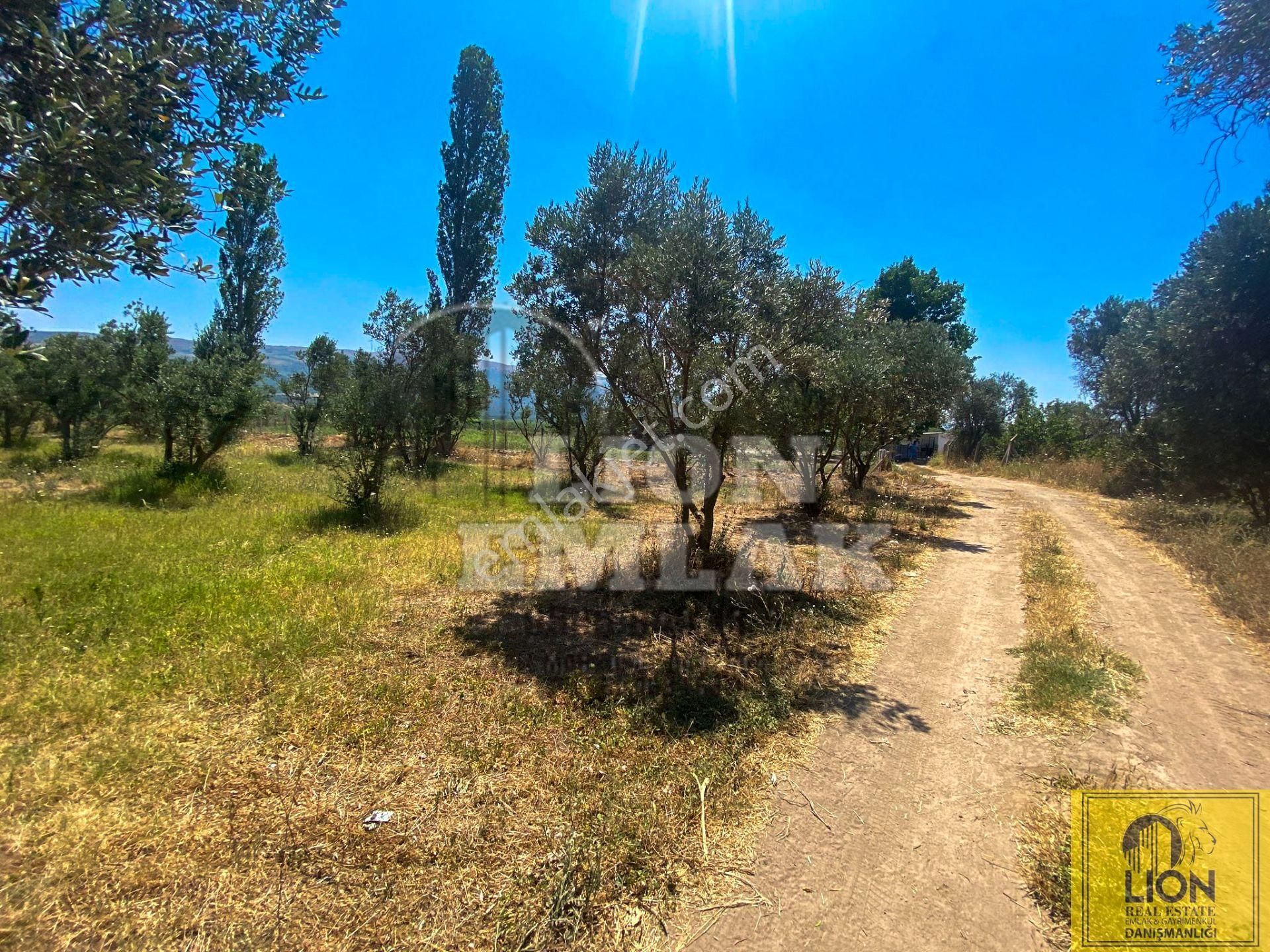 🟨⬛lıon Emlak'tan Erdek Hamamlı Mahallesinde,balıklıpınar Mevkiinde 3375m² Satılık Arsa⬛🟨 - Görsel 23