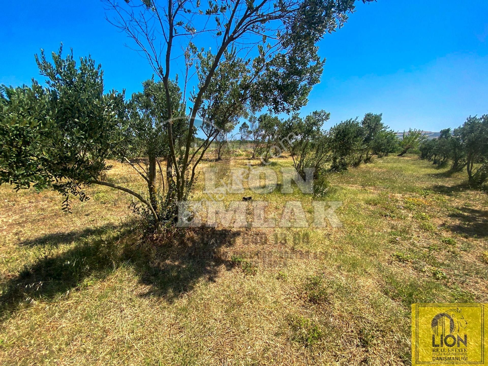🟨⬛lıon Emlak'tan Erdek Hamamlı Mahallesinde,balıklıpınar Mevkiinde 3375m² Satılık Arsa⬛🟨 - Görsel 18