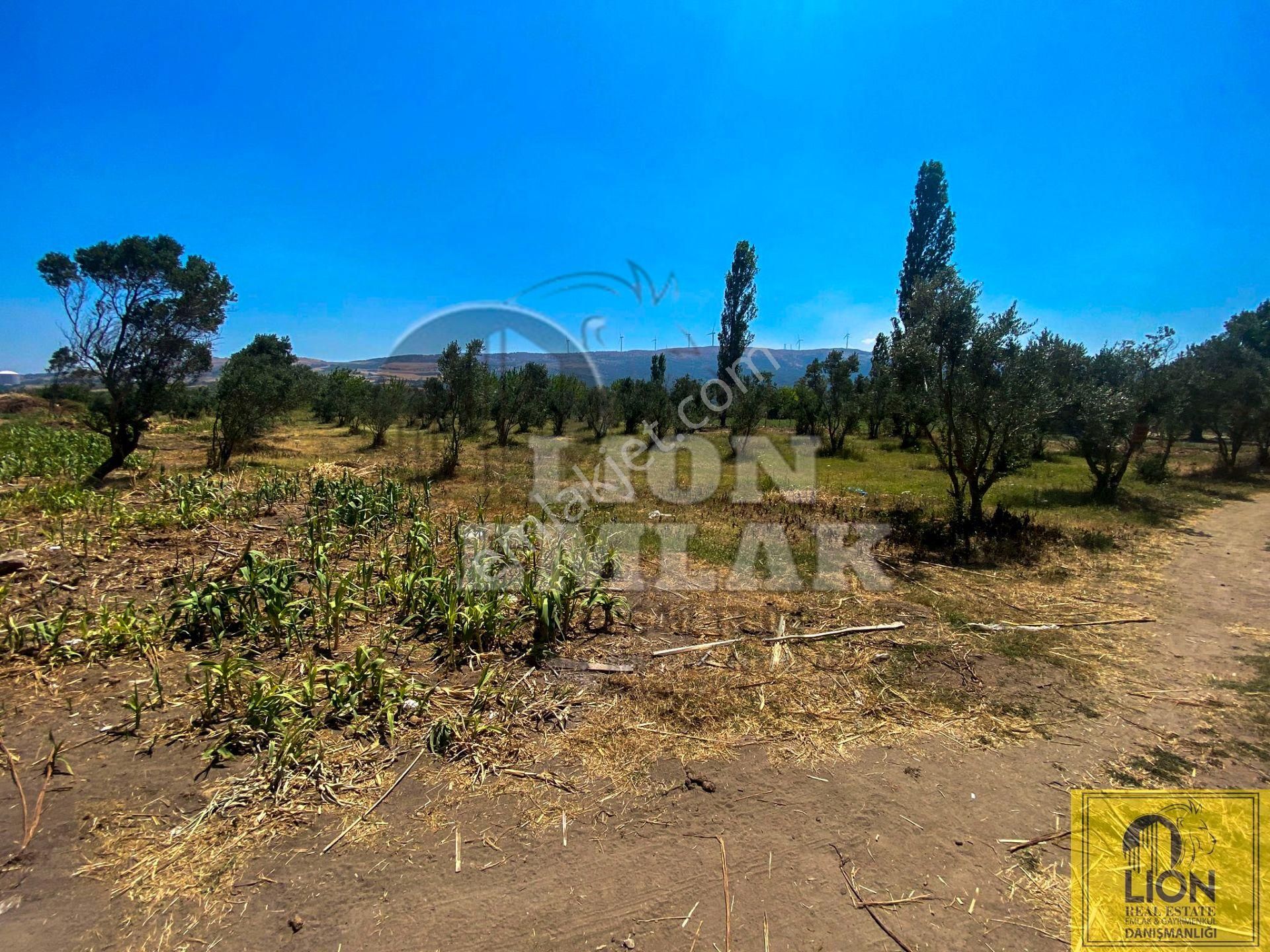 🟨⬛lıon Emlak'tan Erdek Hamamlı Mahallesinde,balıklıpınar Mevkiinde 3375m² Satılık Arsa⬛🟨 - Görsel 10