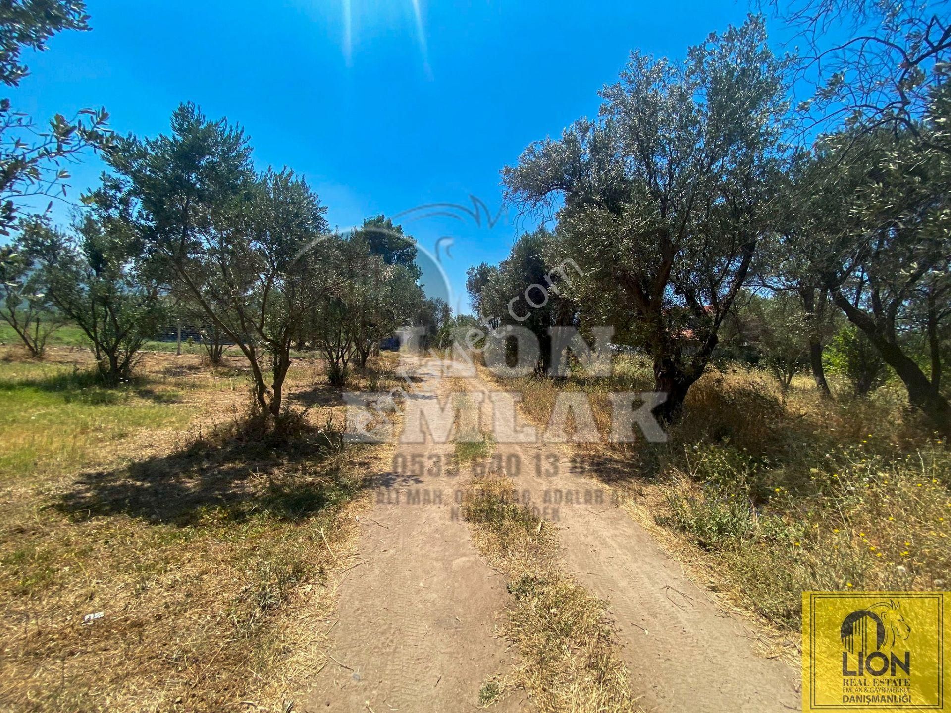🟨⬛lıon Emlak'tan Erdek Hamamlı Mahallesinde,balıklıpınar Mevkiinde 3375m² Satılık Arsa⬛🟨 - Görsel 22