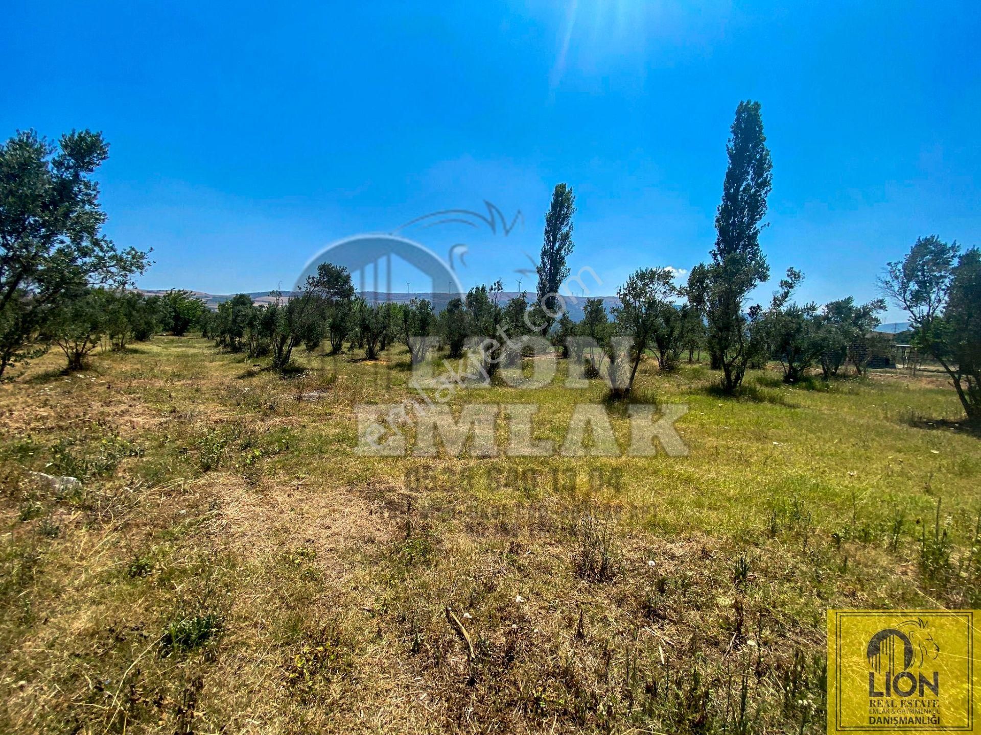 🟨⬛lıon Emlak'tan Erdek Hamamlı Mahallesinde,balıklıpınar Mevkiinde 3375m² Satılık Arsa⬛🟨 - Görsel 11