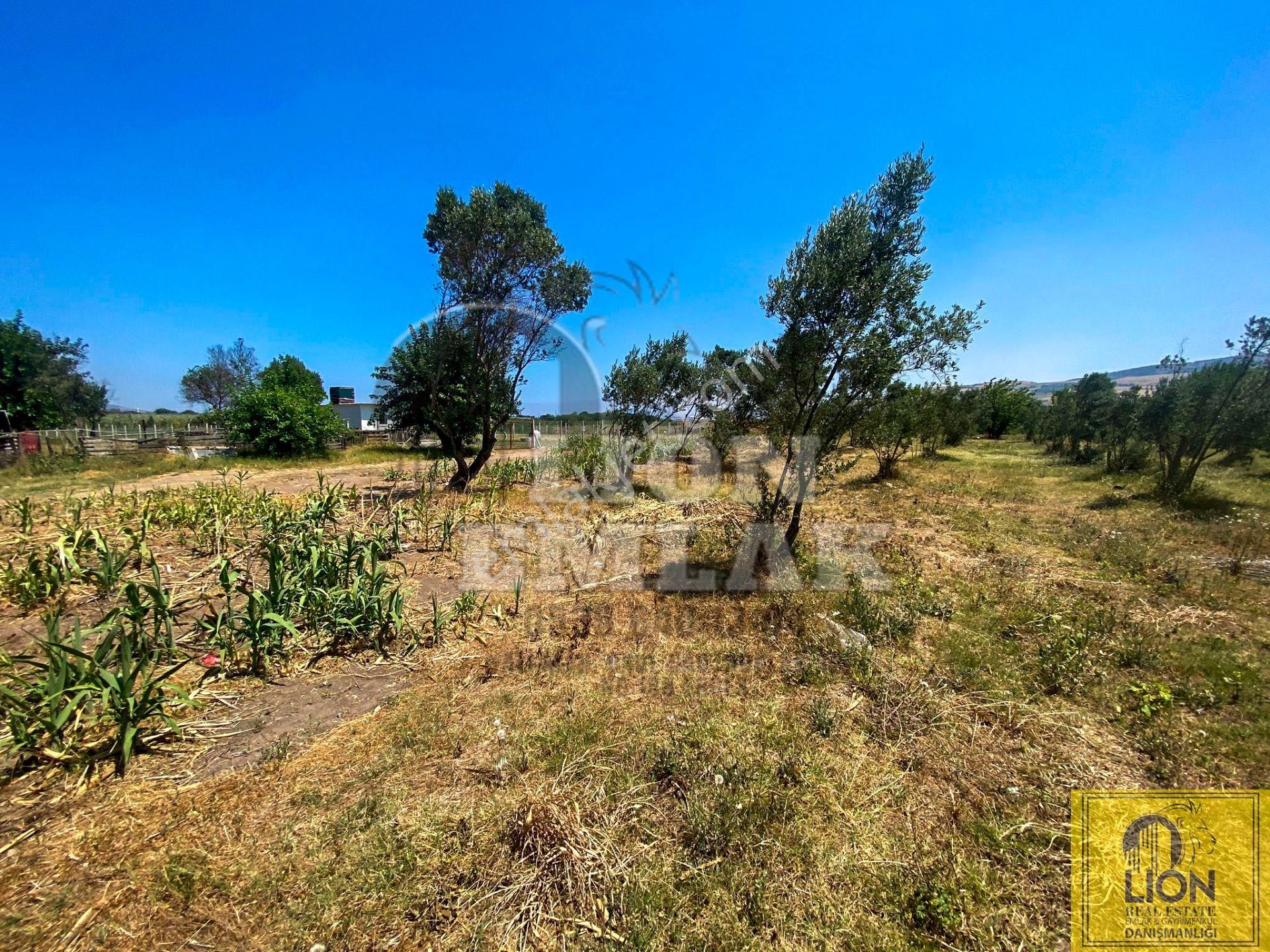 🟨⬛lıon Emlak'tan Erdek Hamamlı Mahallesinde,balıklıpınar Mevkiinde 3375m² Satılık Arsa⬛🟨 - Görsel 13