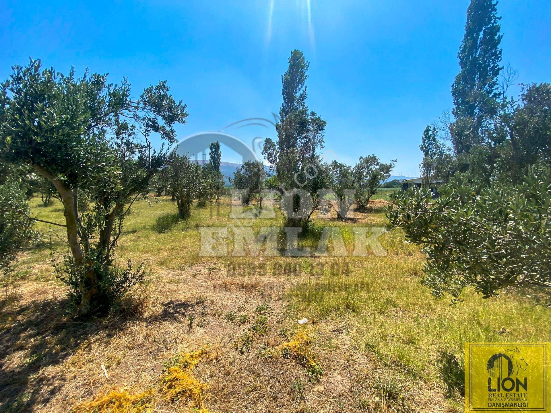 🟨⬛lıon Emlak'tan Erdek Hamamlı Mahallesinde,balıklıpınar Mevkiinde 3375m² Satılık Arsa⬛🟨 - Görsel 21