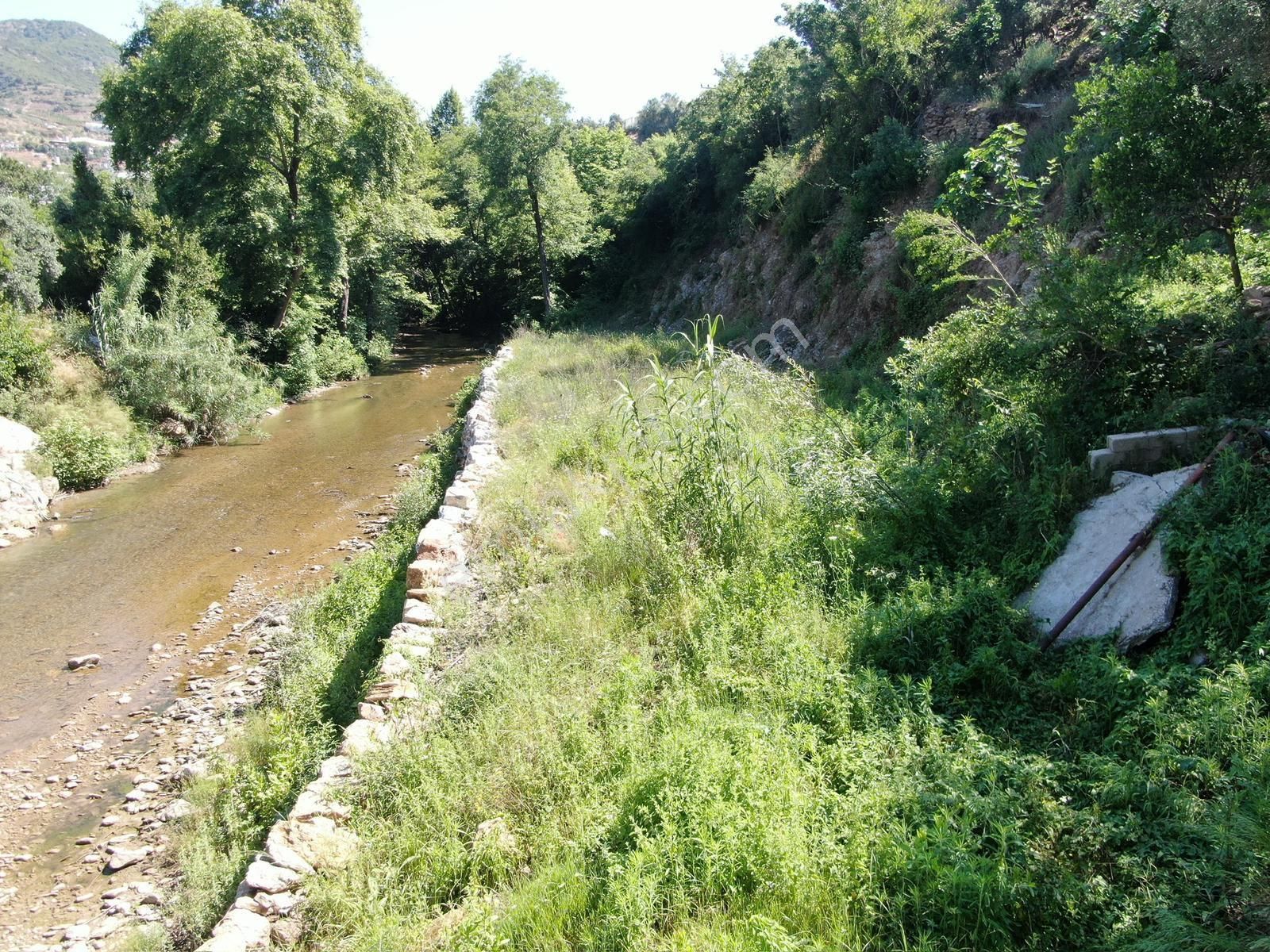 Alanya Soğukpınar Mah. Çaya Sıfır 1.437 M2 Satılık Tarla - Görsel 10