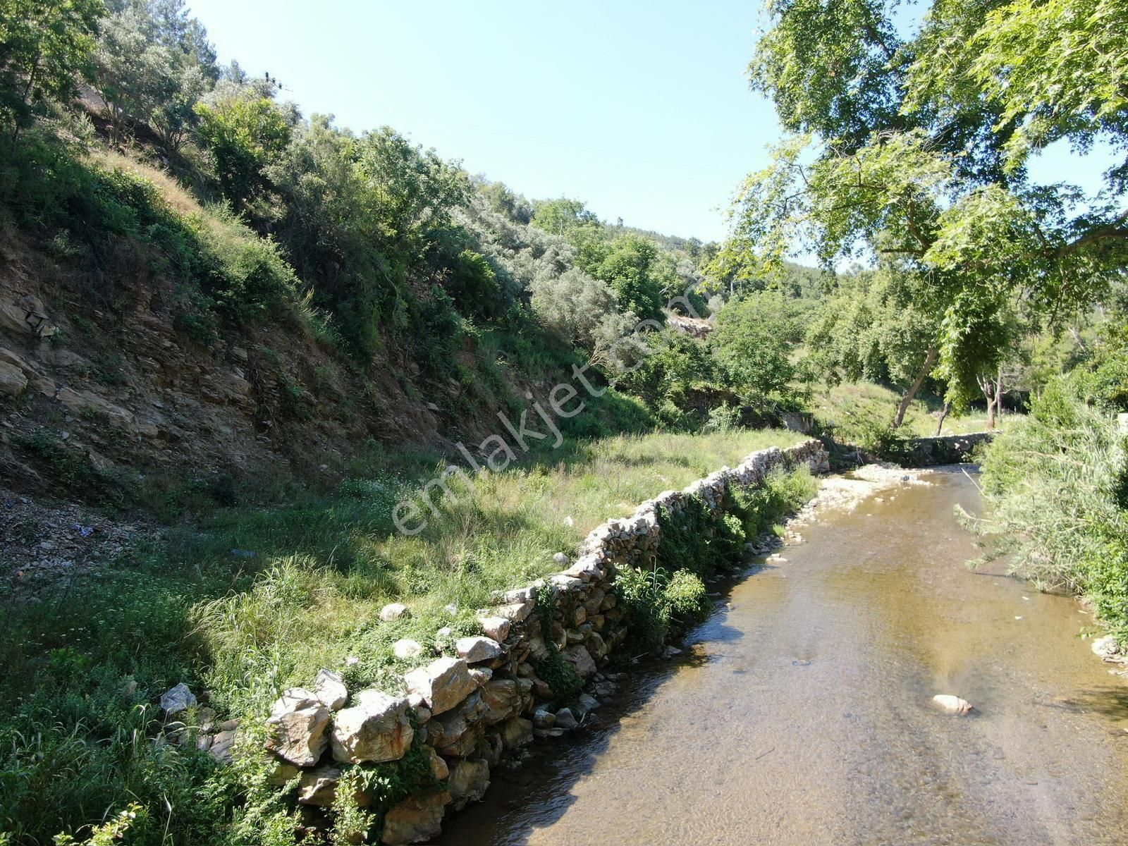 Alanya Soğukpınar Mah. Çaya Sıfır 1.437 M2 Satılık Tarla - Görsel 5