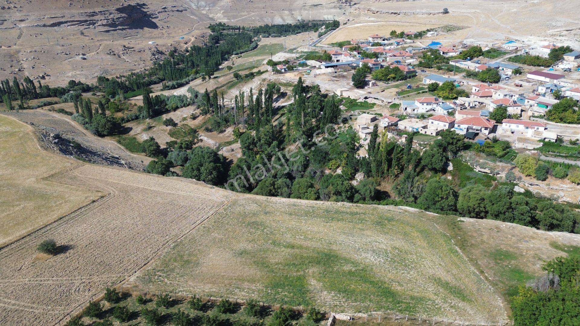 Karaman / Ayrancı / Pınarkaya Da 4.000 M² Müstakil Tarla - Görsel 5