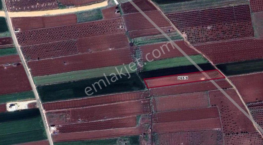 Babil Emlaktan Satlık Yavuzluda Çevre Yoluna Yakın 6532 Metre Tarla