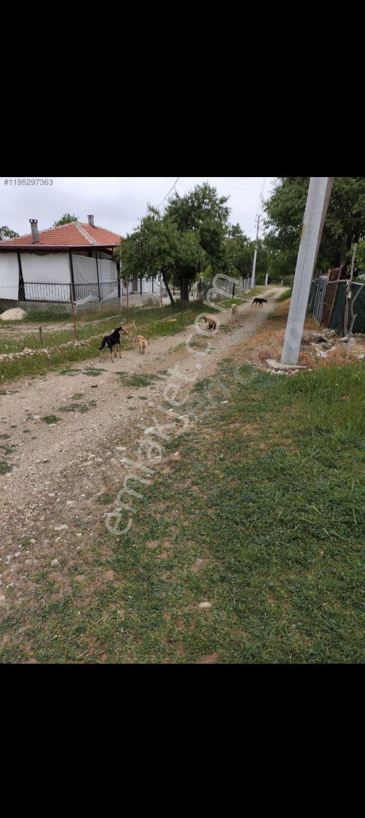 Afyon Dinar Avdan Köy İçi İmarlı 1535 Metre