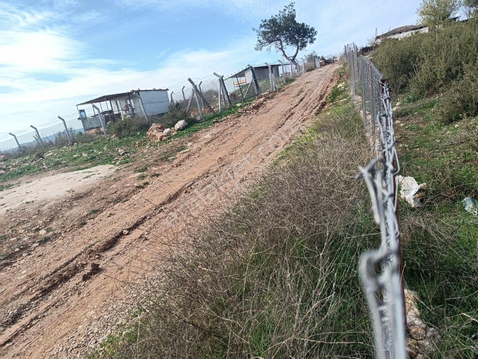 Buket Emlaktan Pancarda Satılık Tek Tapu 3.250. Mt İmara Sıfır