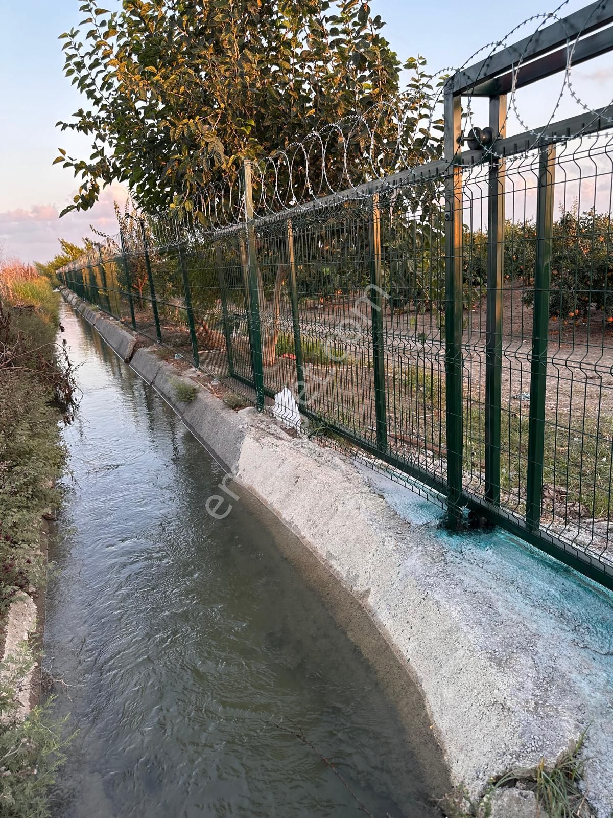 Çukurova Havalimanı Yanında 28 Dönüm Tek Tapu Satılık Nar Bahçeli Tarla - Görsel 9
