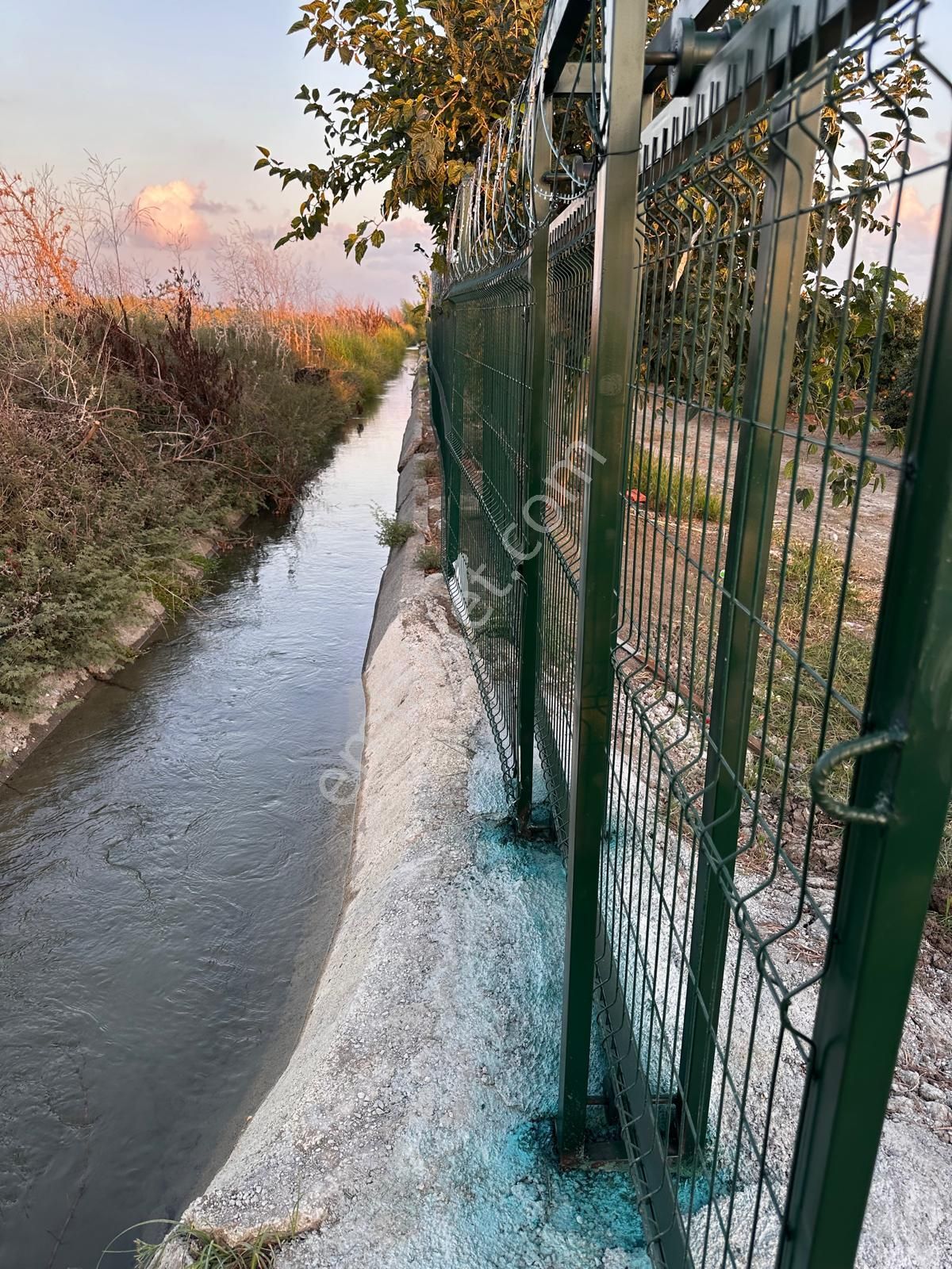 Çukurova Havalimanı Yanında 28 Dönüm Tek Tapu Satılık Nar Bahçeli Tarla - Görsel 8