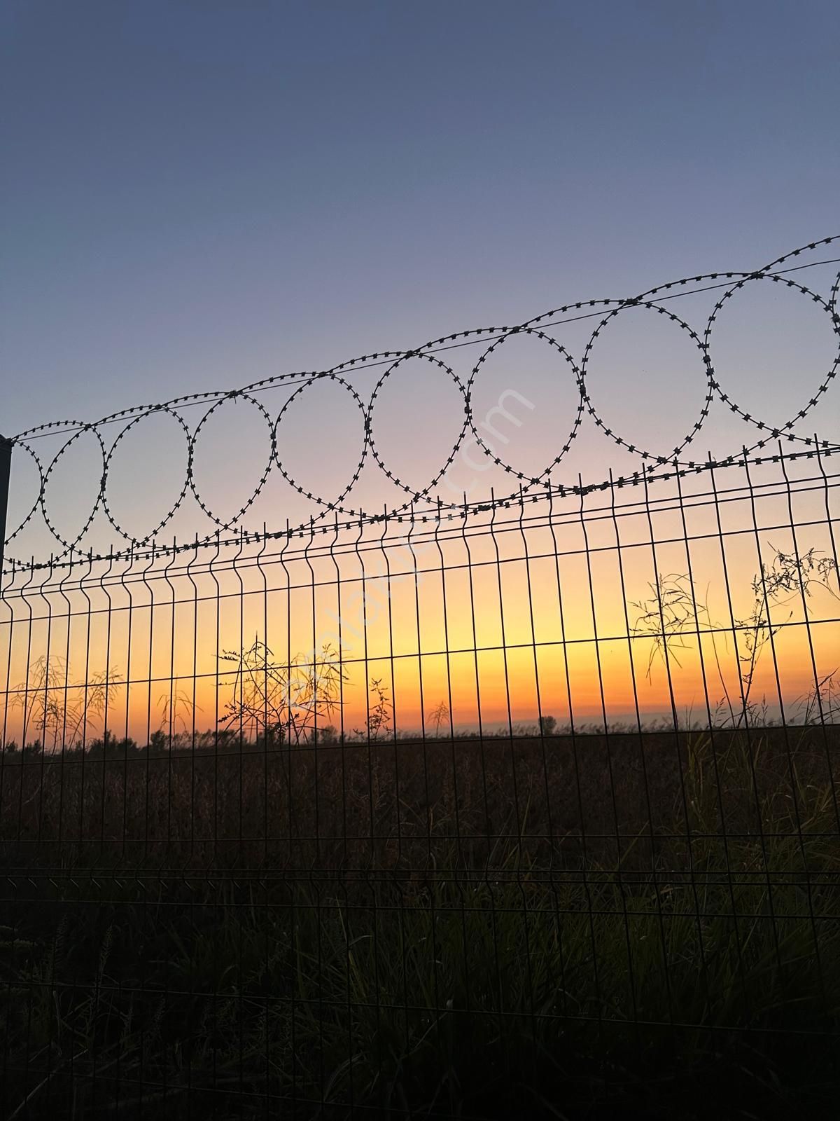 Çukurova Havalimanı Yanında 28 Dönüm Tek Tapu Satılık Nar Bahçeli Tarla - Görsel 12